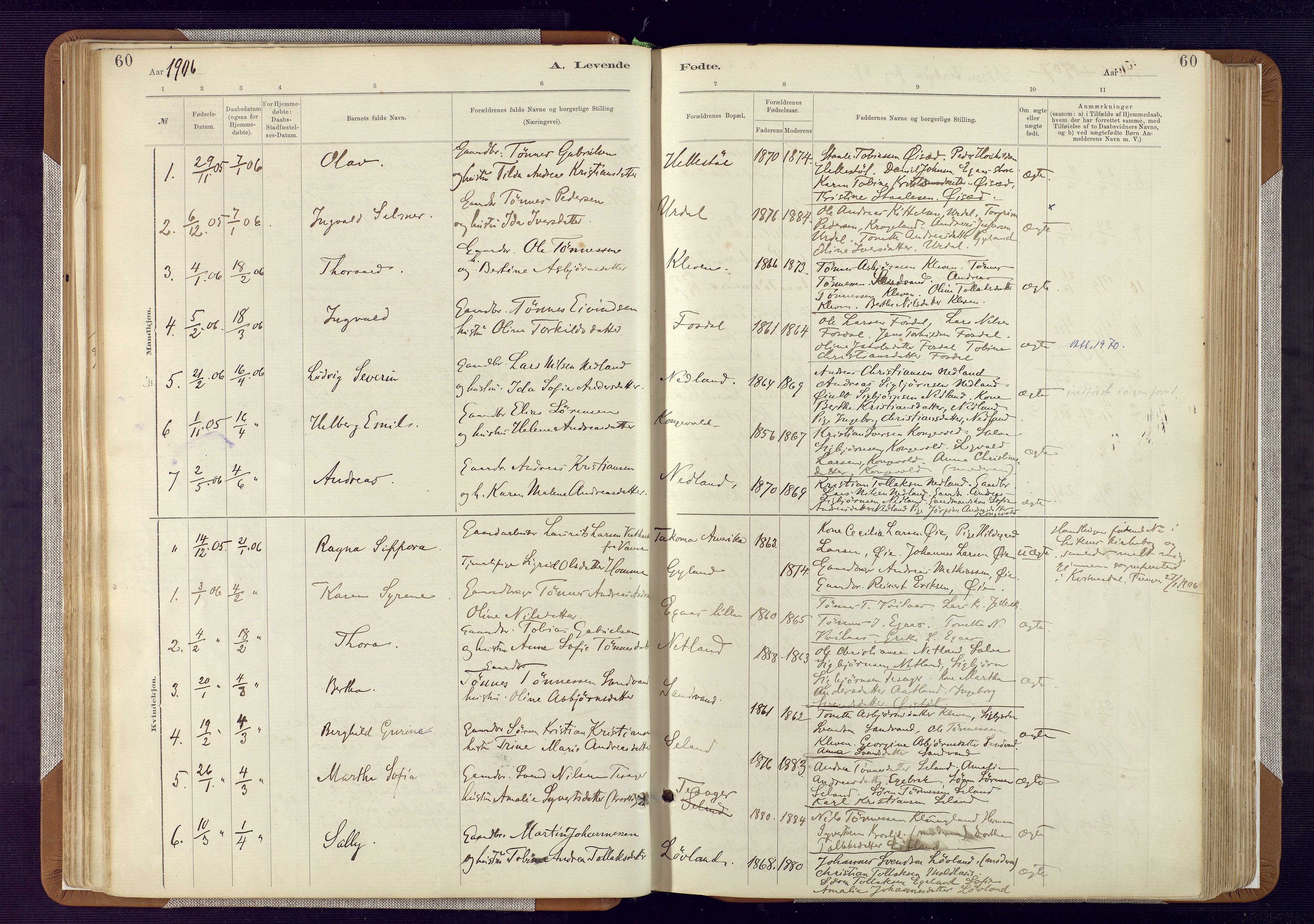 Bakke sokneprestkontor, AV/SAK-1111-0002/F/Fa/Fab/L0003: Parish register (official) no. A 3, 1884-1921, p. 60