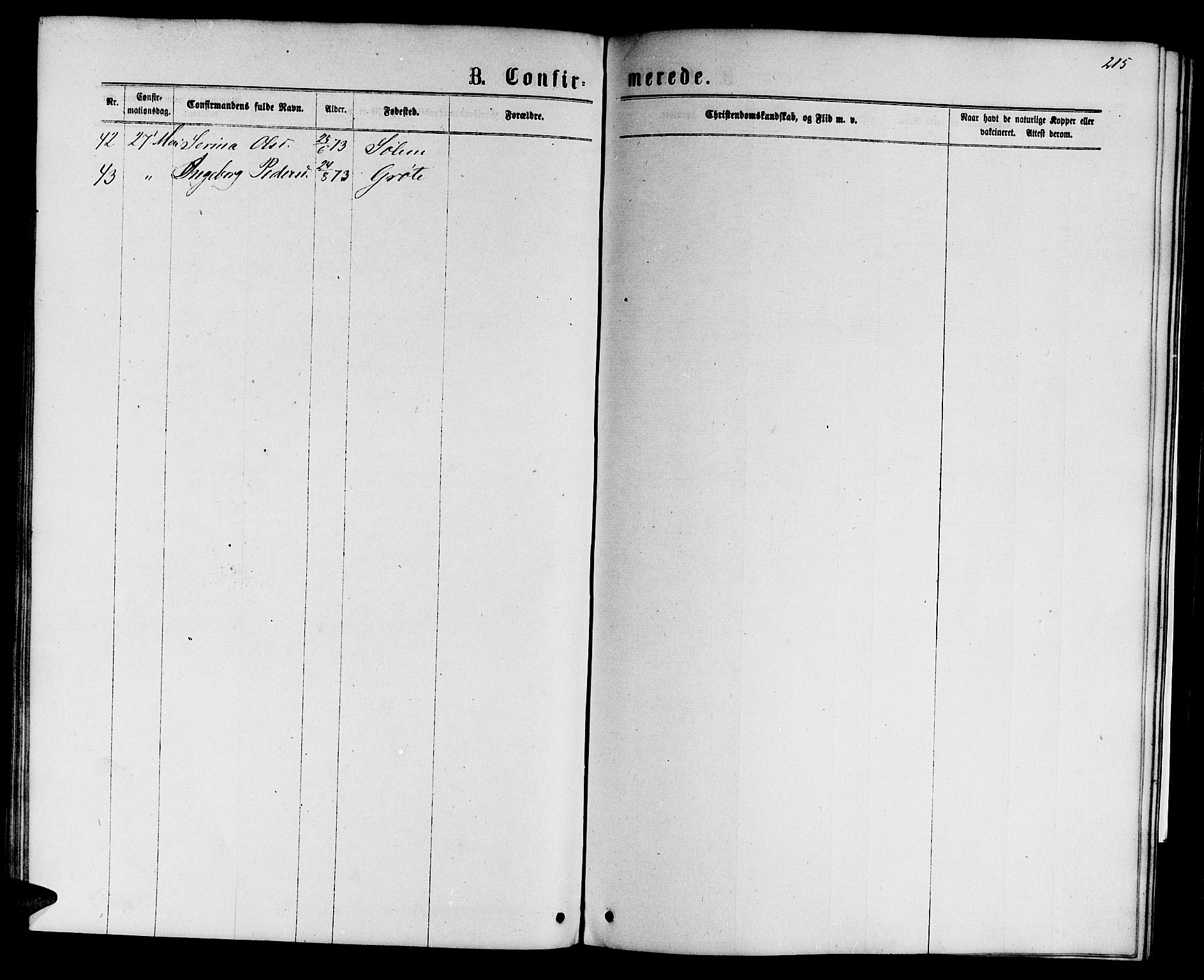 Ministerialprotokoller, klokkerbøker og fødselsregistre - Sør-Trøndelag, SAT/A-1456/695/L1156: Parish register (copy) no. 695C07, 1869-1888, p. 215