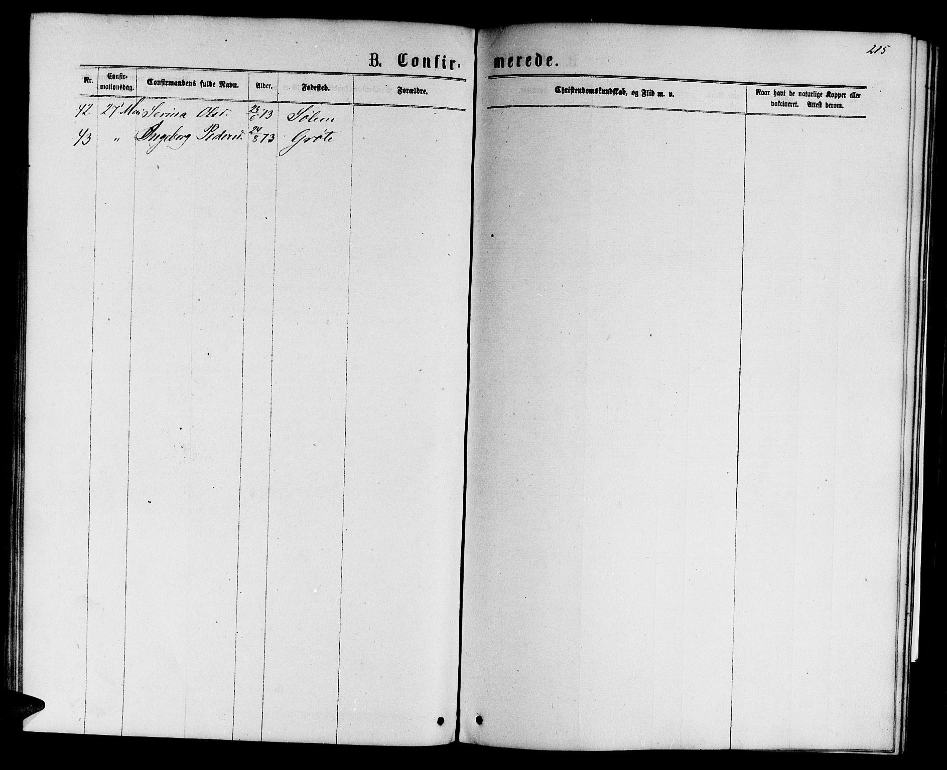 Ministerialprotokoller, klokkerbøker og fødselsregistre - Sør-Trøndelag, AV/SAT-A-1456/695/L1156: Parish register (copy) no. 695C07, 1869-1888, p. 215