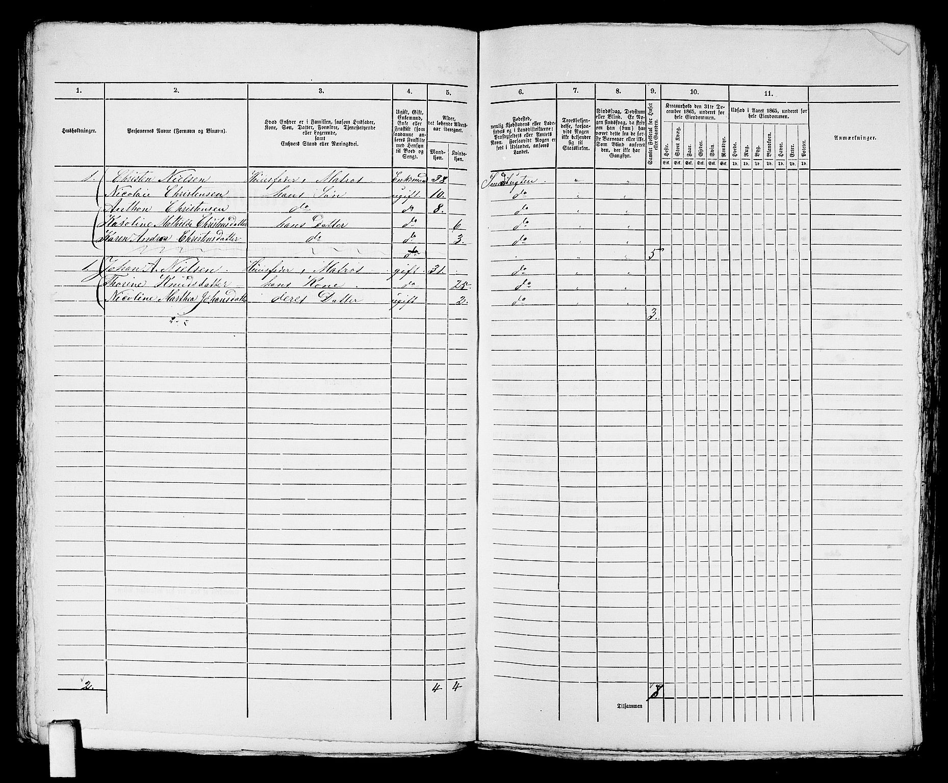 RA, 1865 census for Kragerø/Kragerø, 1865, p. 180