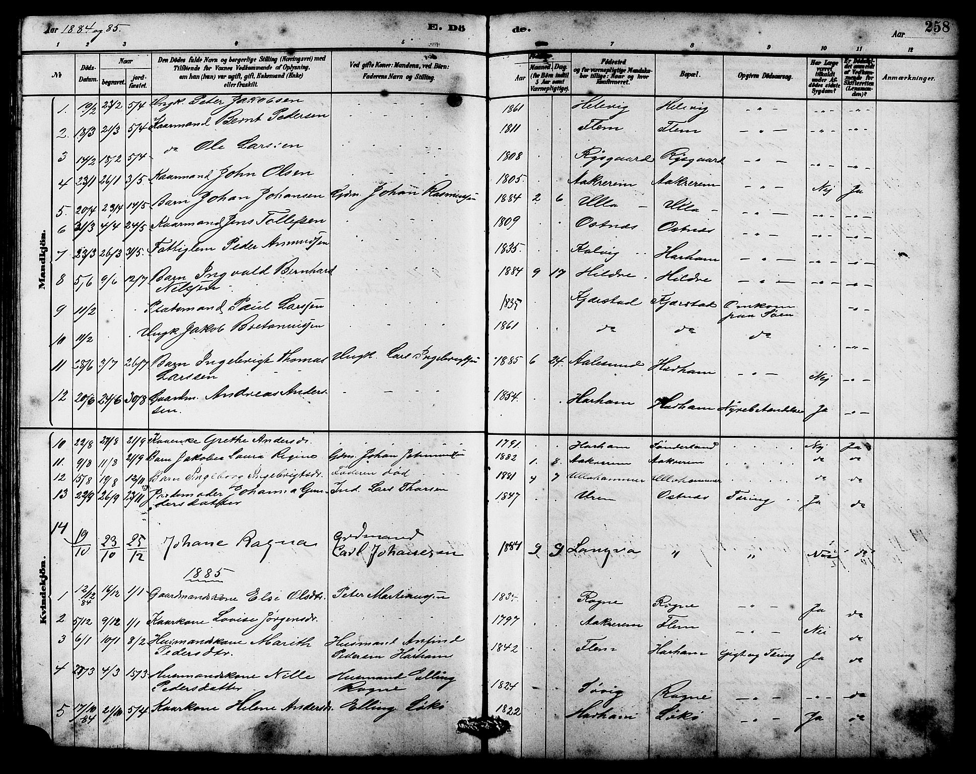 Ministerialprotokoller, klokkerbøker og fødselsregistre - Møre og Romsdal, AV/SAT-A-1454/536/L0510: Parish register (copy) no. 536C05, 1881-1898, p. 258