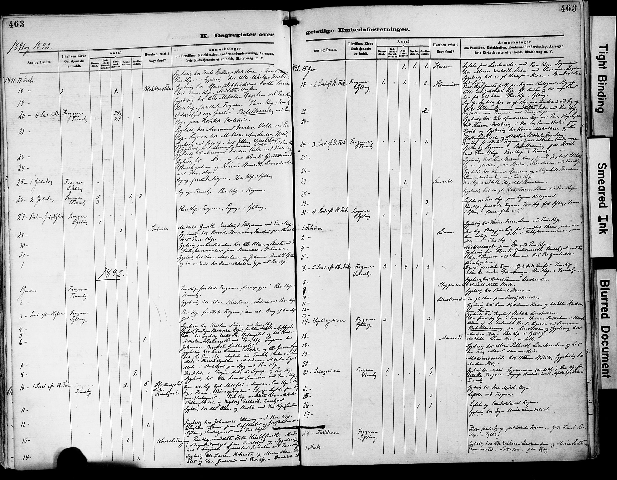 Lier kirkebøker, SAKO/A-230/F/Fa/L0015: Parish register (official) no. I 15, 1883-1894, p. 463