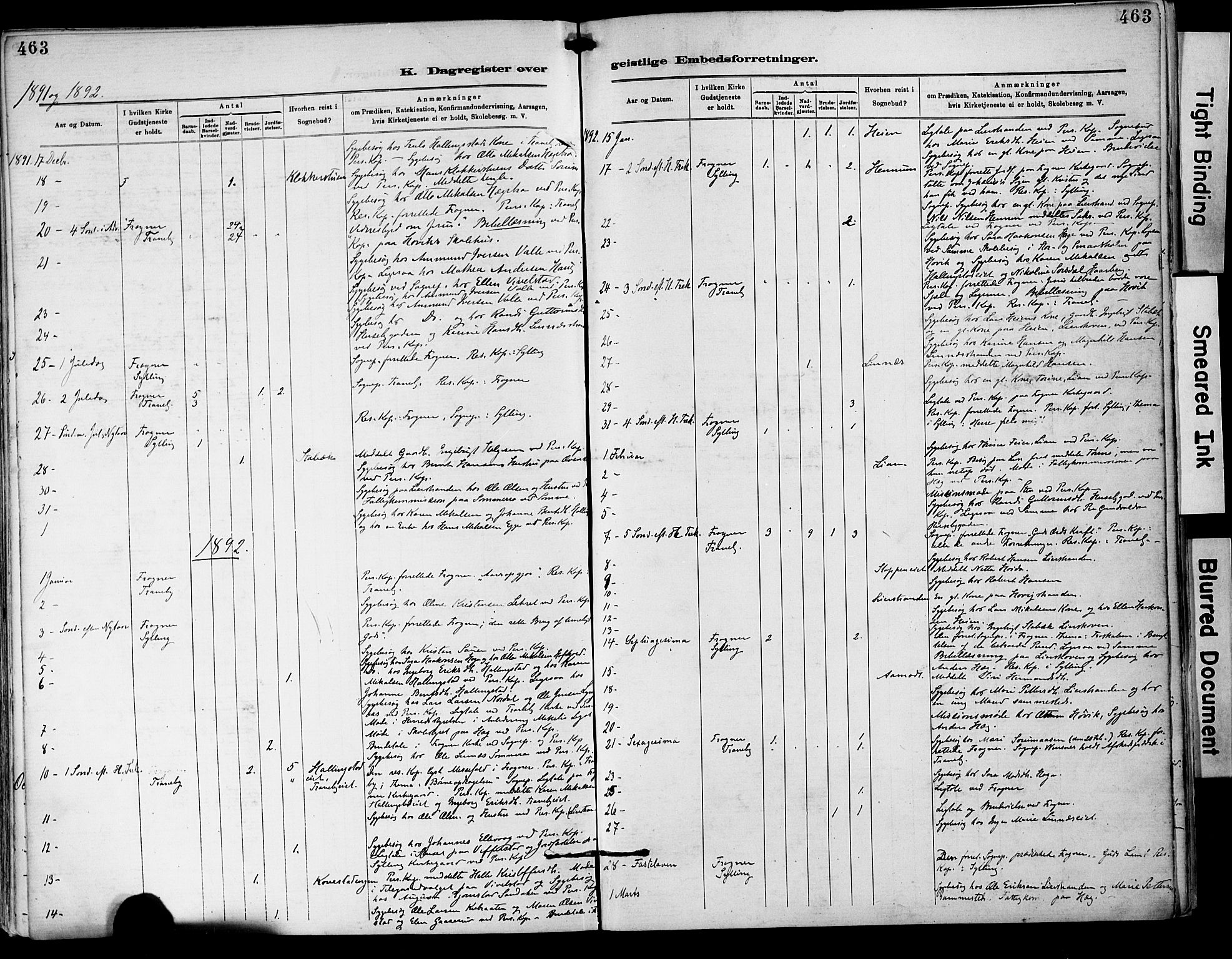 Lier kirkebøker, AV/SAKO-A-230/F/Fa/L0015: Parish register (official) no. I 15, 1883-1894, p. 463