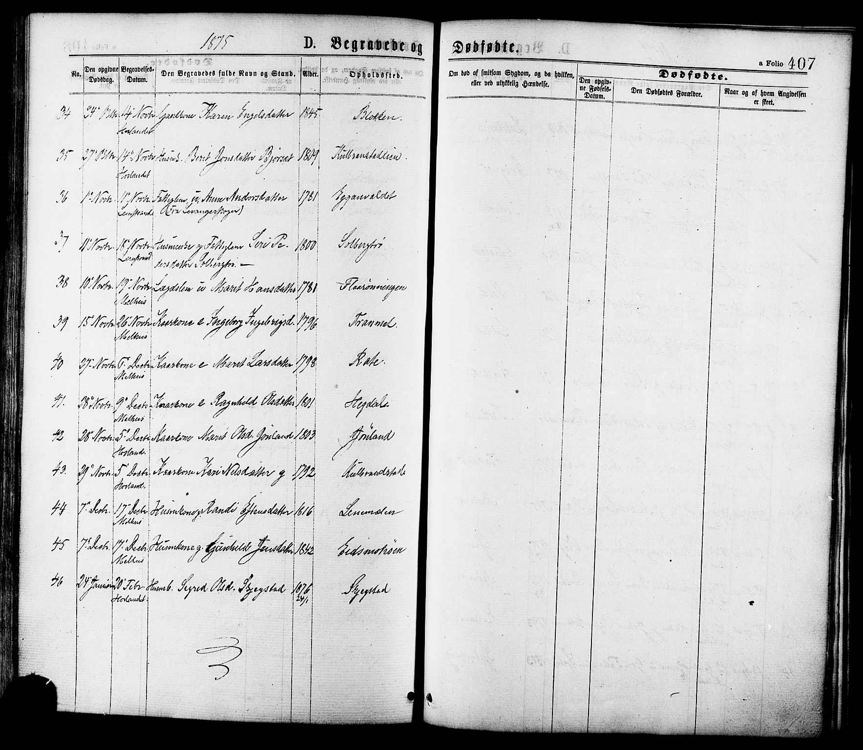 Ministerialprotokoller, klokkerbøker og fødselsregistre - Sør-Trøndelag, AV/SAT-A-1456/691/L1079: Parish register (official) no. 691A11, 1873-1886, p. 407