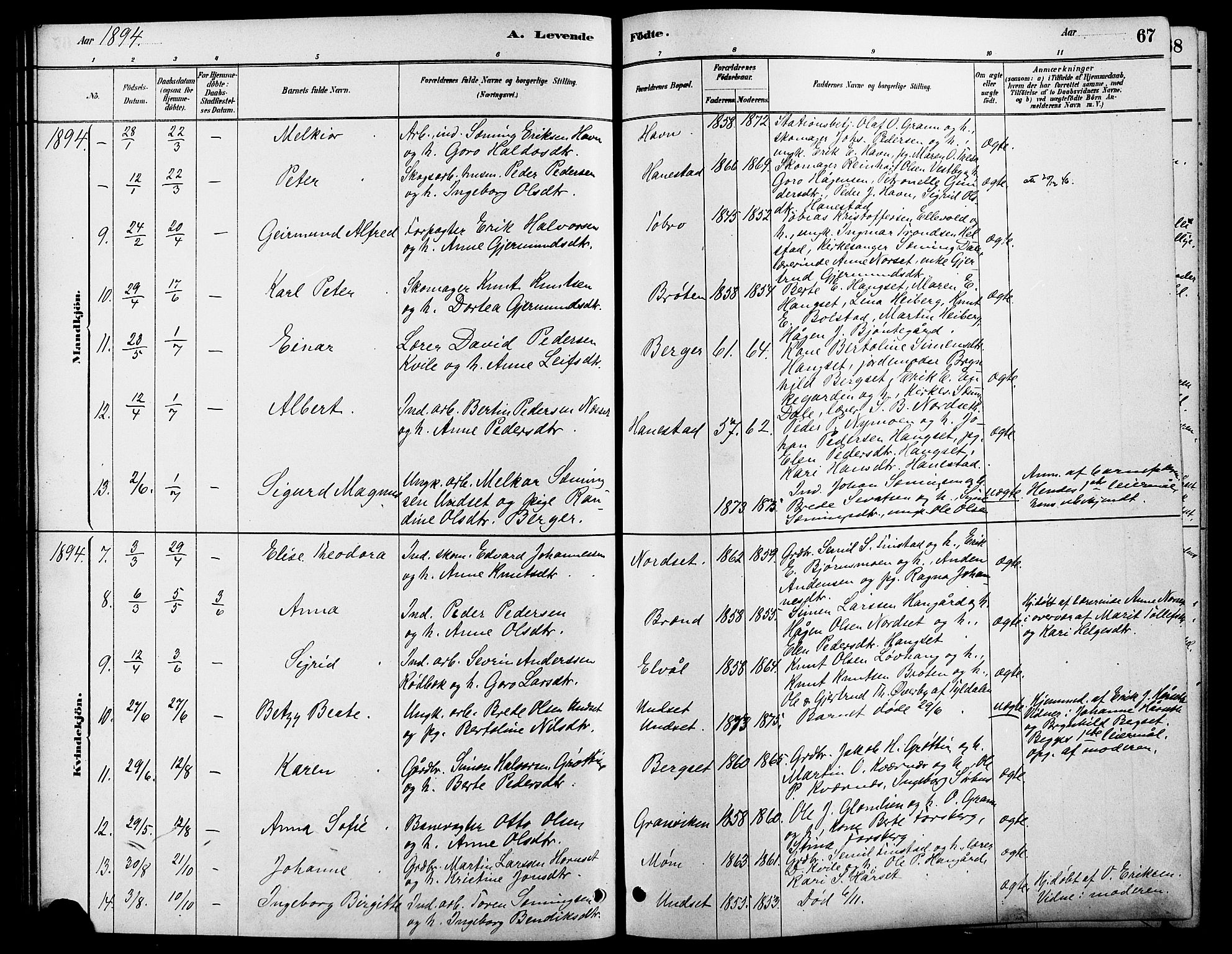 Rendalen prestekontor, SAH/PREST-054/H/Ha/Hab/L0003: Parish register (copy) no. 3, 1879-1904, p. 67