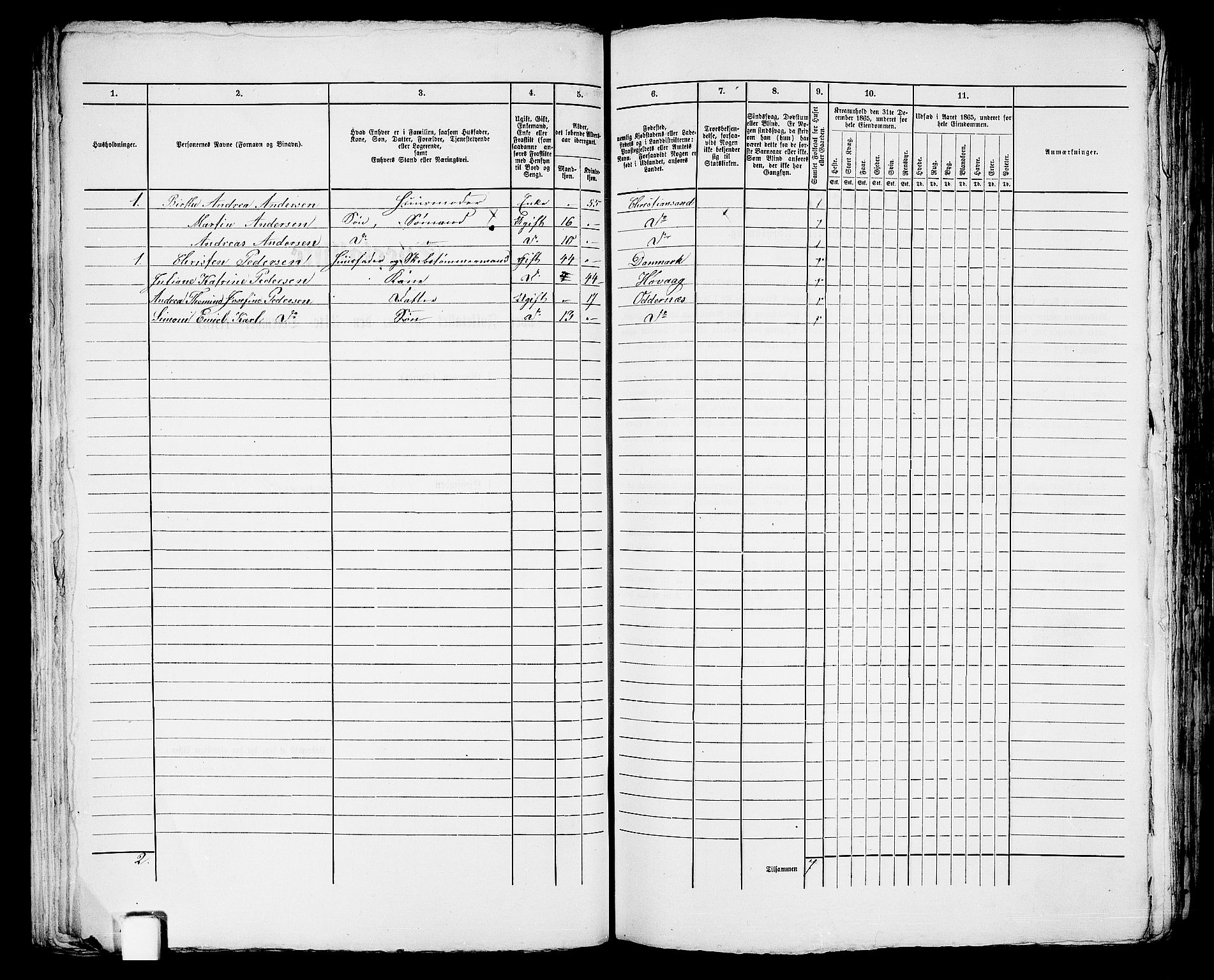 RA, 1865 census for Kristiansand, 1865, p. 1635