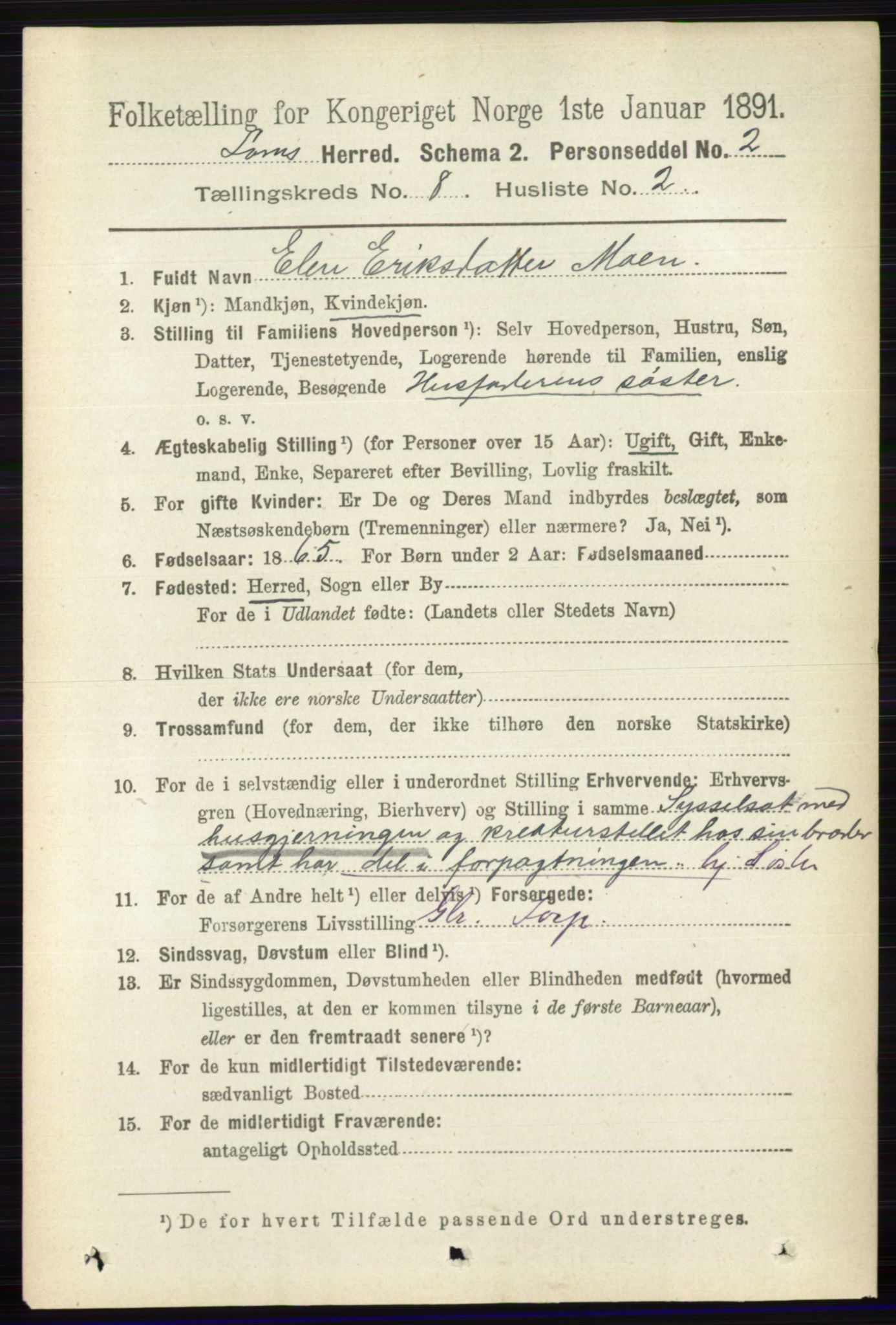 RA, 1891 census for 0514 Lom, 1891, p. 3110