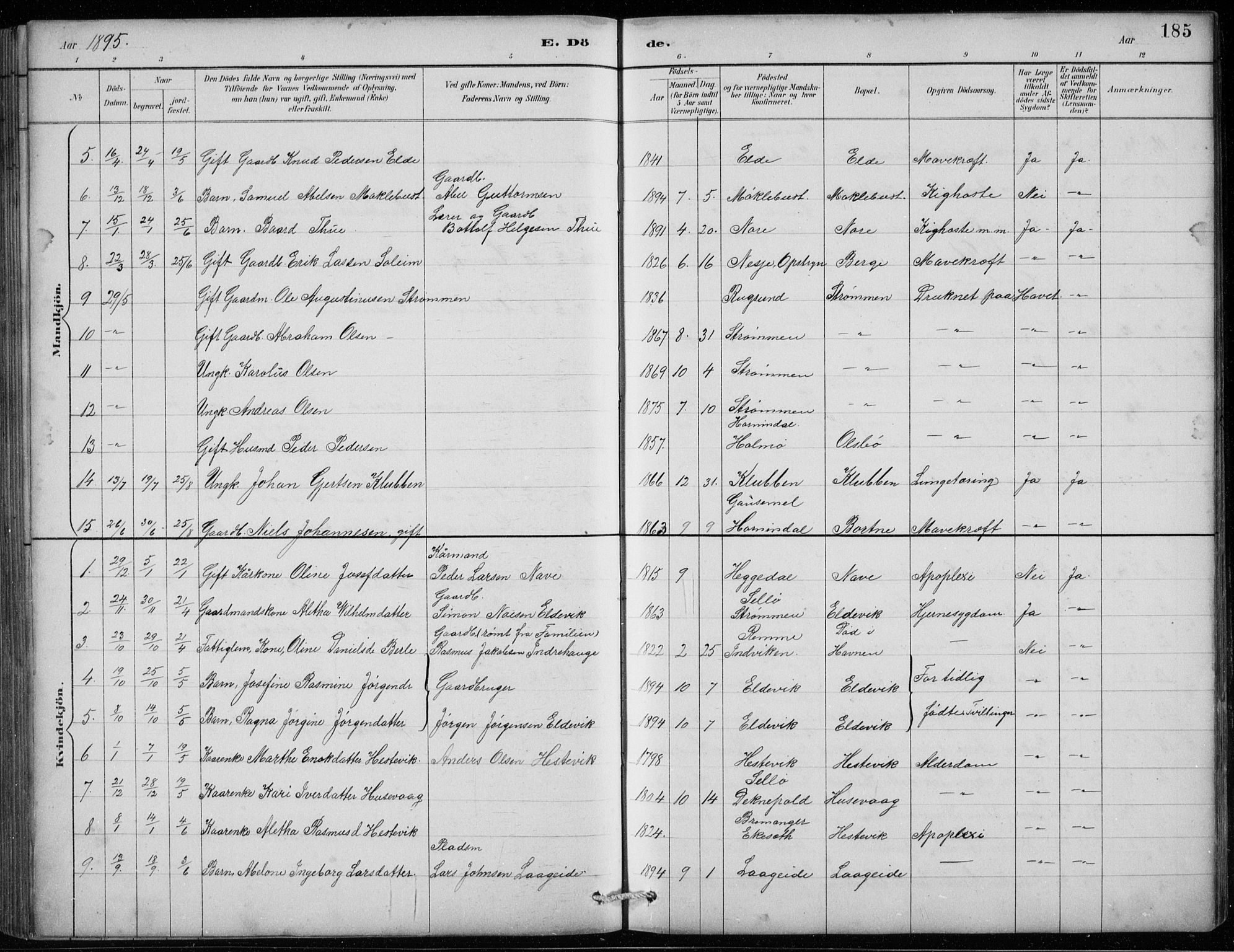 Davik sokneprestembete, AV/SAB-A-79701/H/Hab/Habc/L0002: Parish register (copy) no. C 2, 1889-1906, p. 185