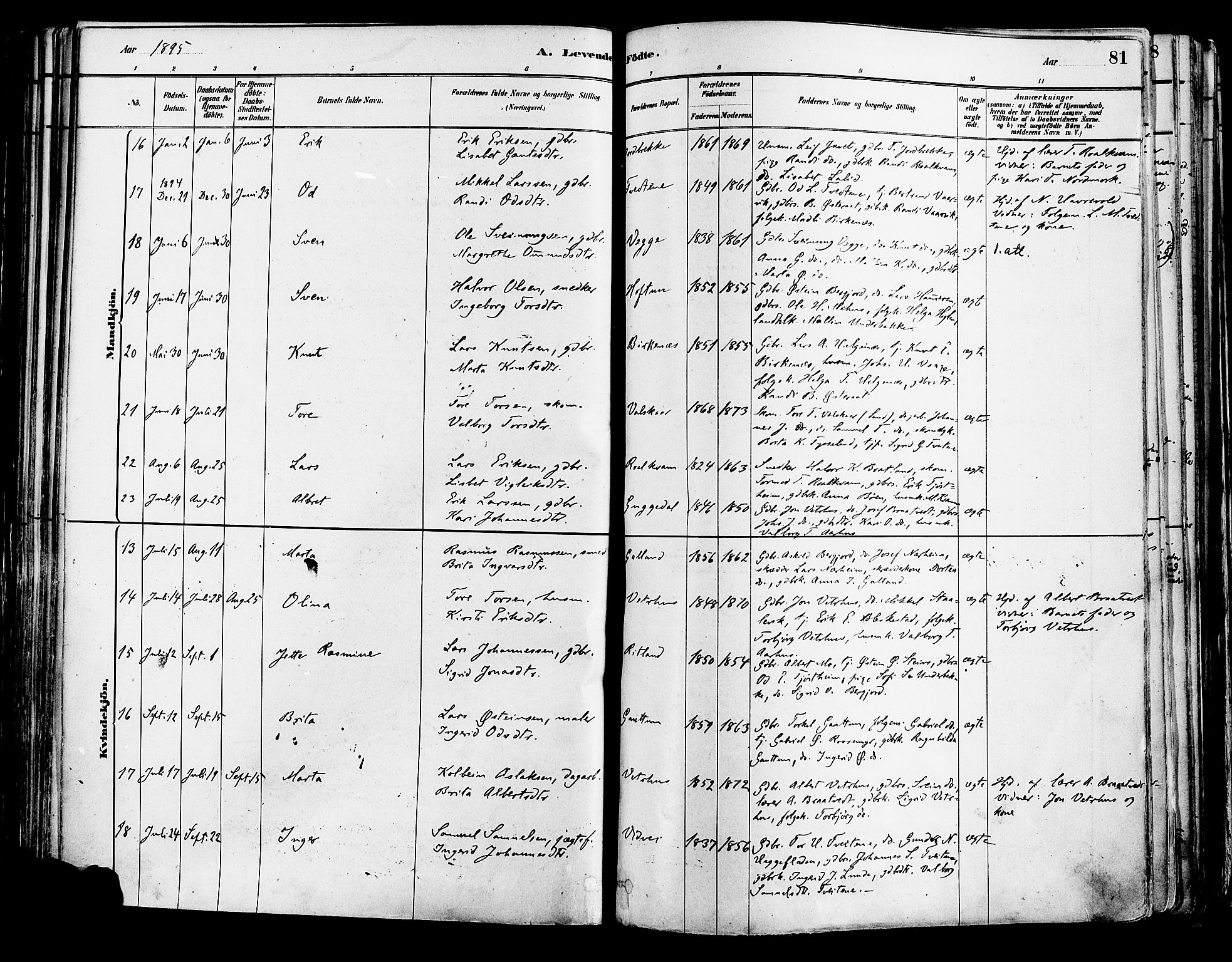 Suldal sokneprestkontor, AV/SAST-A-101845/01/IV/L0011: Parish register (official) no. A 11, 1878-1900, p. 81