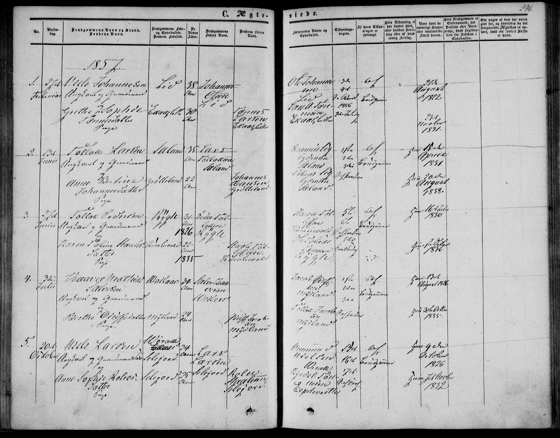 Bakke sokneprestkontor, SAK/1111-0002/F/Fa/Fab/L0002: Parish register (official) no. A 2, 1855-1884, p. 246