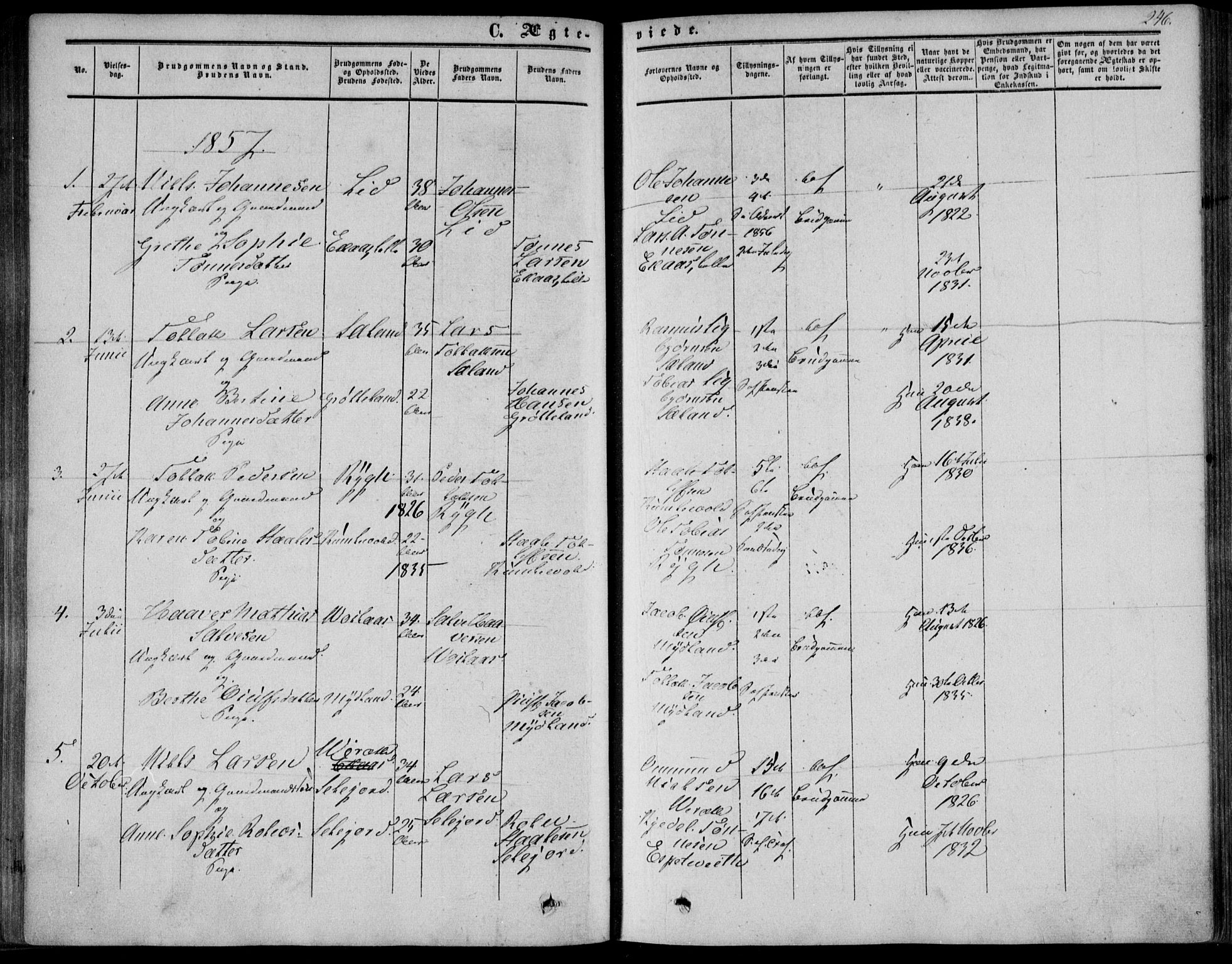 Bakke sokneprestkontor, AV/SAK-1111-0002/F/Fa/Fab/L0002: Parish register (official) no. A 2, 1855-1884, p. 246