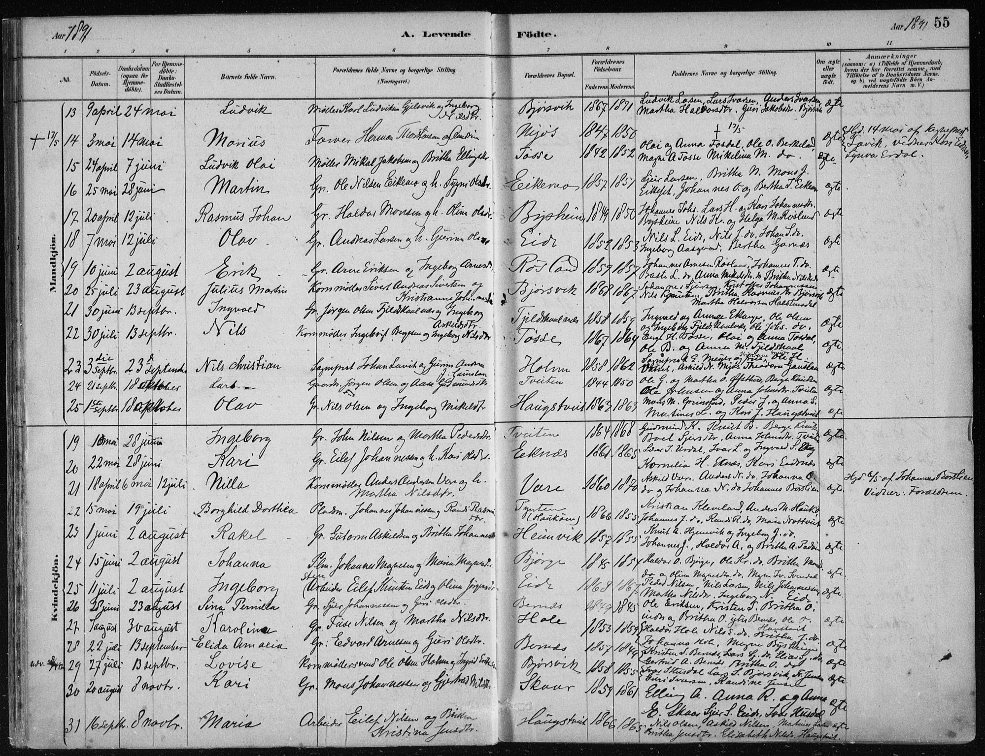 Hosanger sokneprestembete, AV/SAB-A-75801/H/Haa: Parish register (official) no. B  1, 1880-1896, p. 55