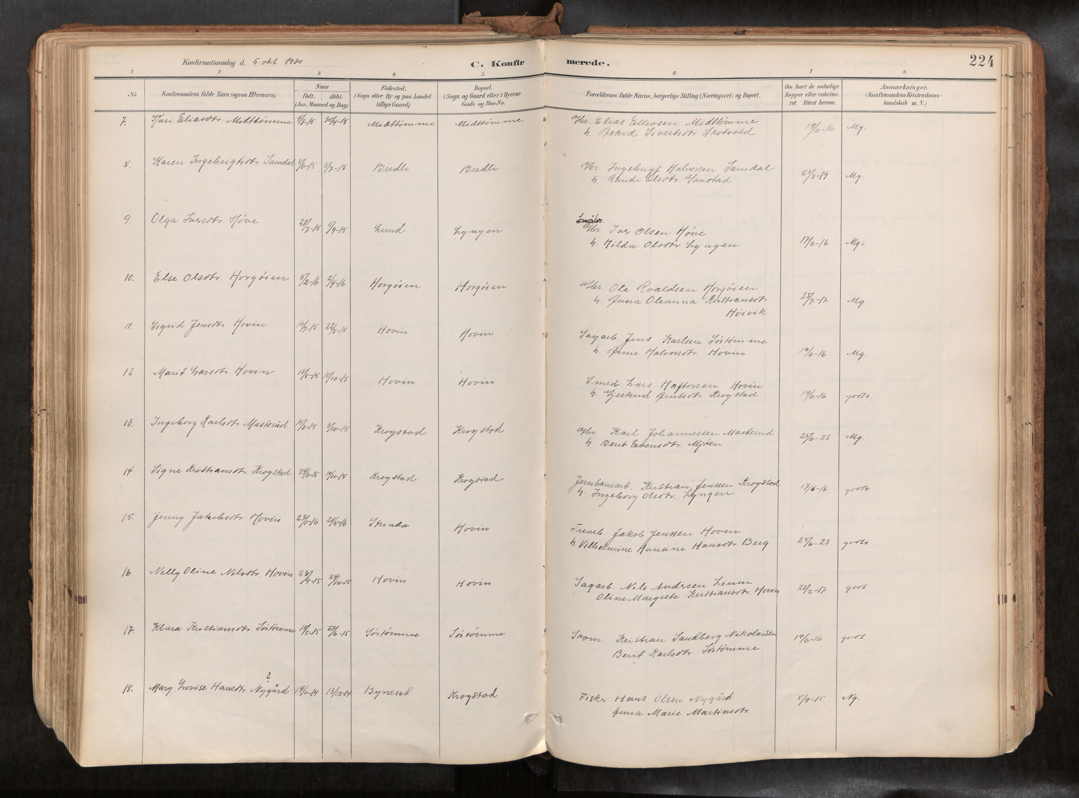Ministerialprotokoller, klokkerbøker og fødselsregistre - Sør-Trøndelag, SAT/A-1456/692/L1105b: Parish register (official) no. 692A06, 1891-1934, p. 224