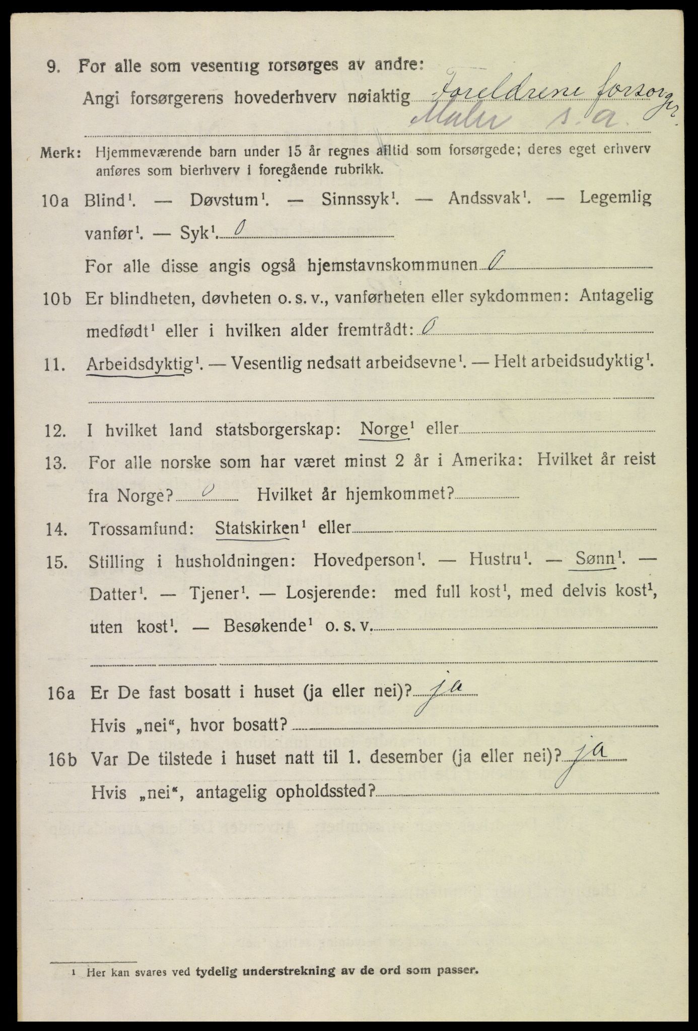 SAH, 1920 census for Biri, 1920, p. 6370