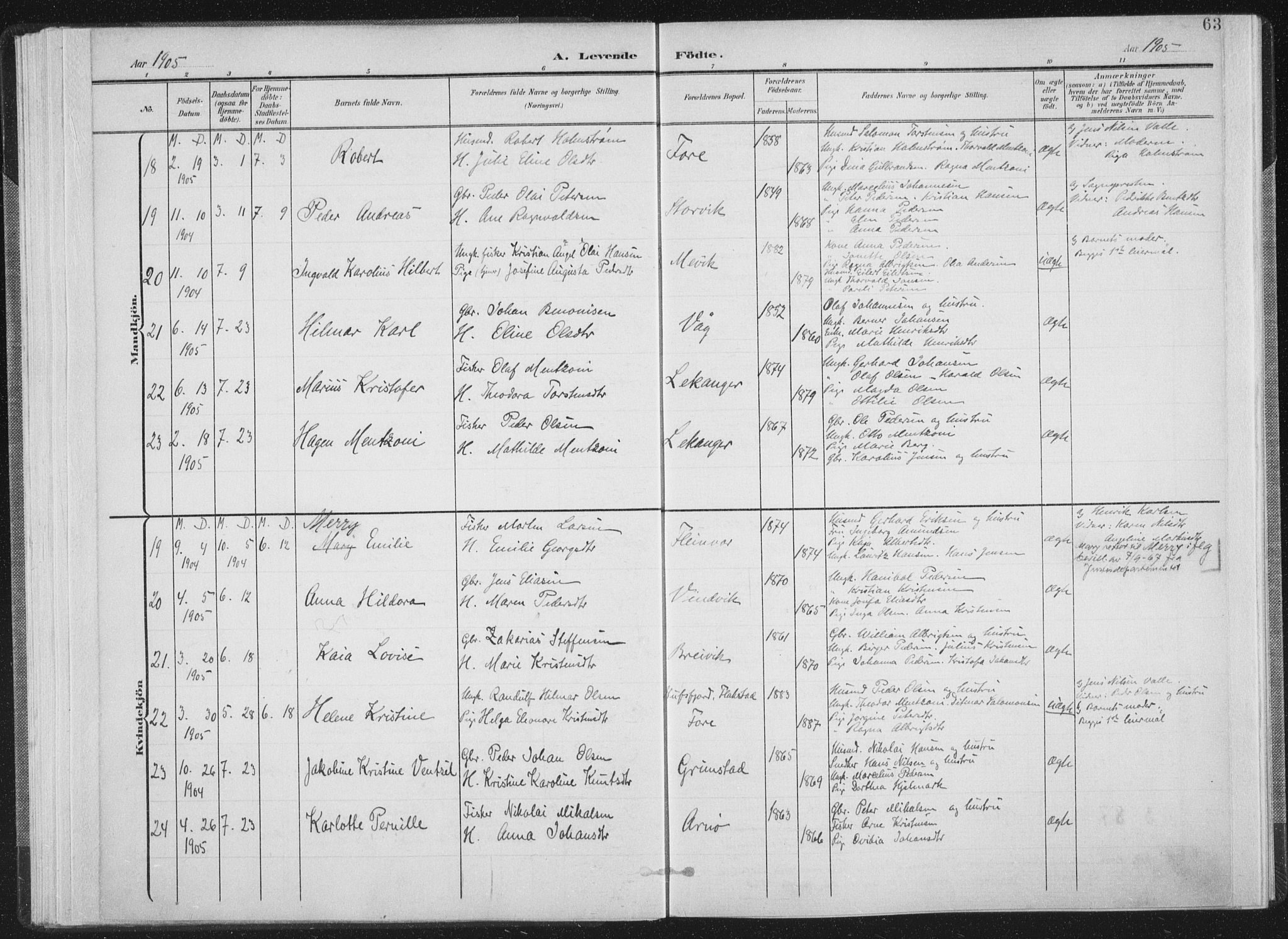 Ministerialprotokoller, klokkerbøker og fødselsregistre - Nordland, AV/SAT-A-1459/805/L0102: Parish register (official) no. 805A08I, 1900-1909, p. 63
