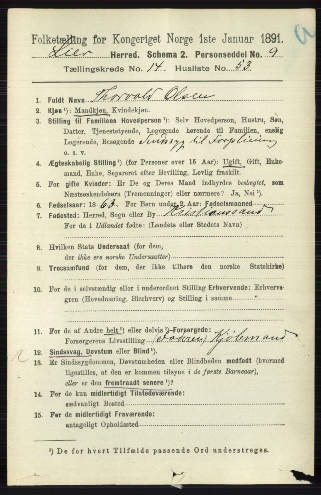 RA, 1891 census for 0626 Lier, 1891, p. 8617