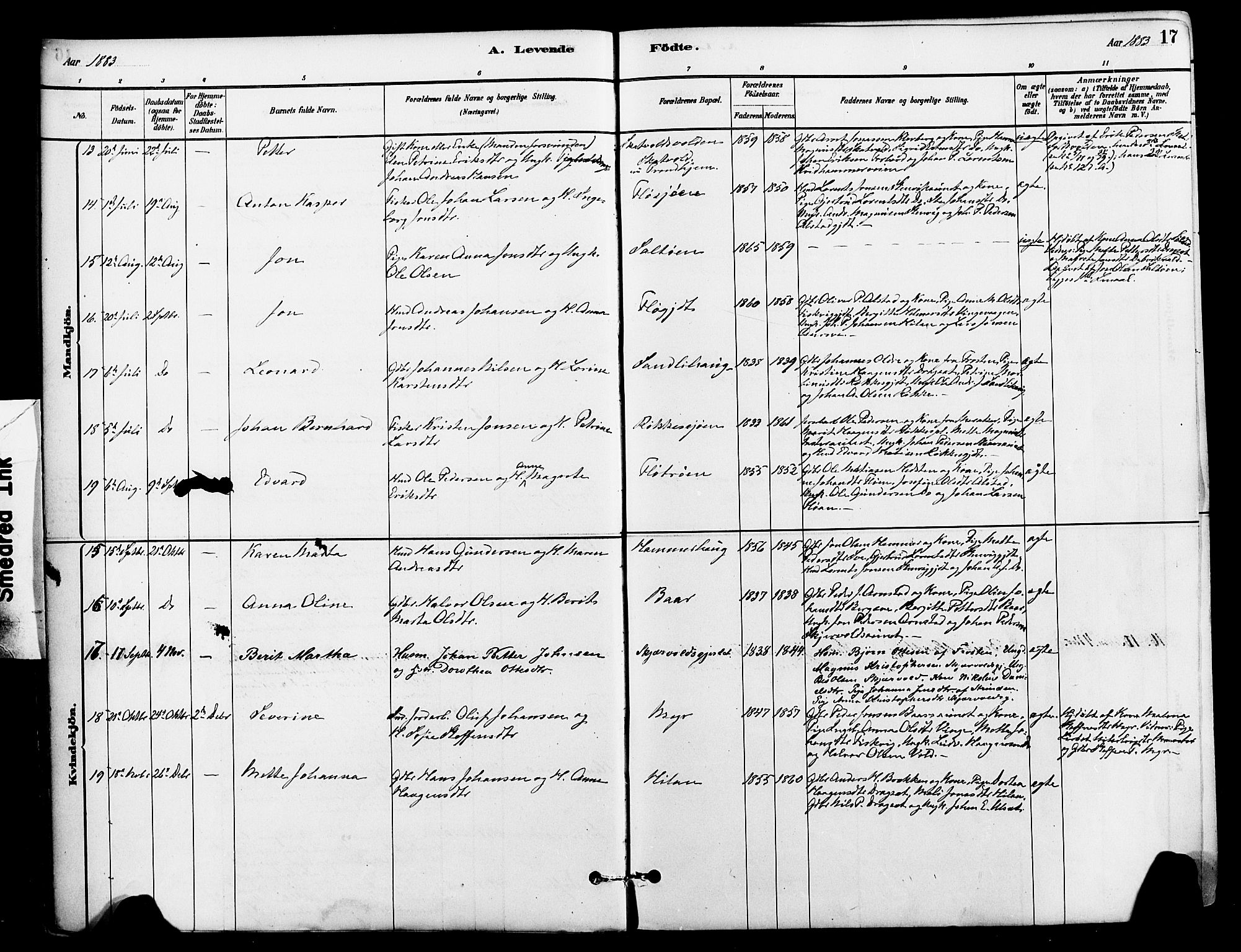Ministerialprotokoller, klokkerbøker og fødselsregistre - Nord-Trøndelag, SAT/A-1458/712/L0100: Parish register (official) no. 712A01, 1880-1900, p. 17
