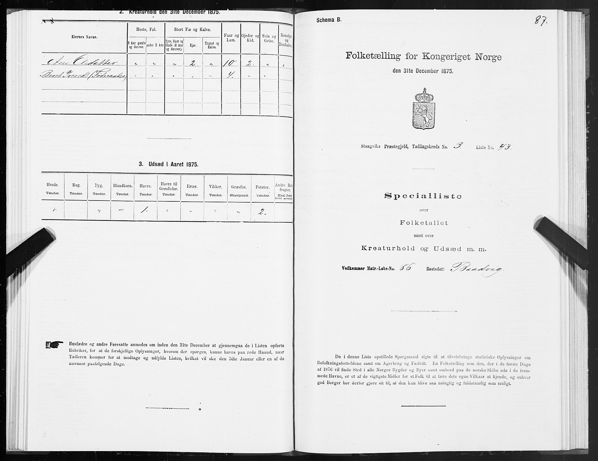 SAT, 1875 census for 1564P Stangvik, 1875, p. 2087