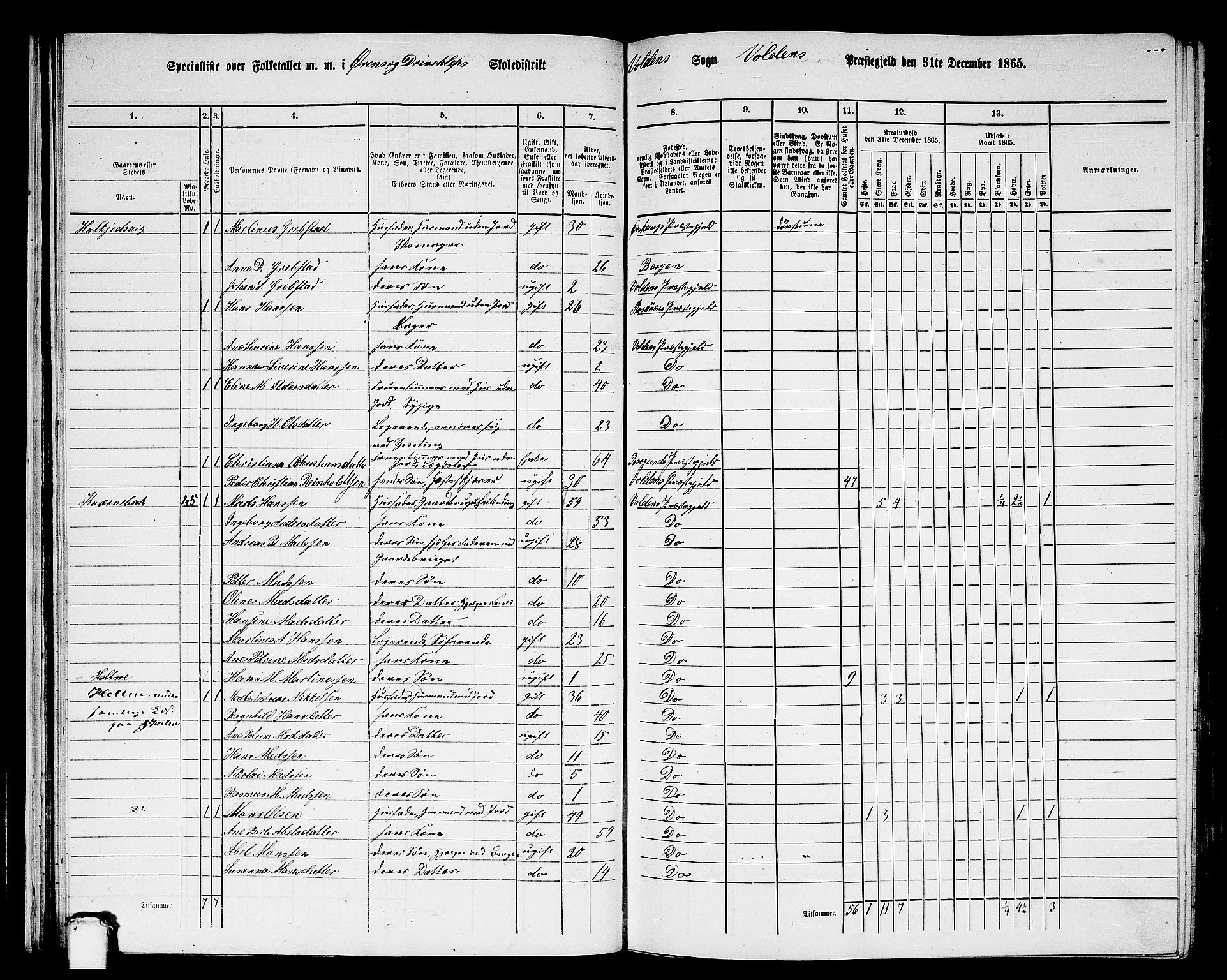 RA, 1865 census for Volda, 1865, p. 33