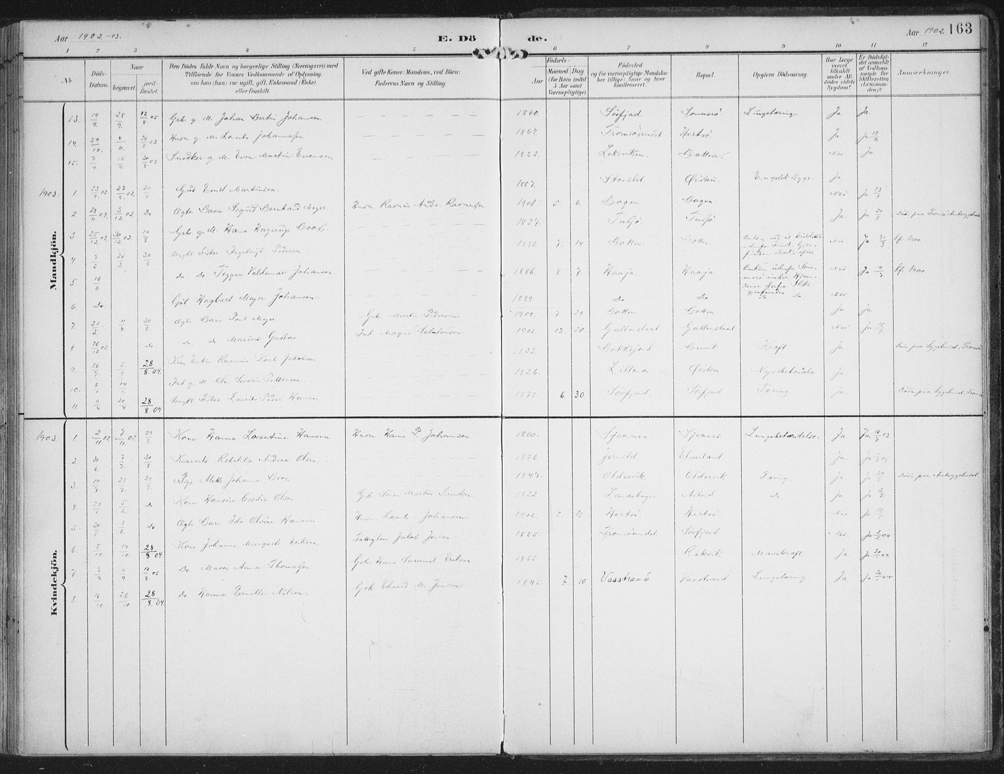Lenvik sokneprestembete, SATØ/S-1310/H/Ha/Haa/L0015kirke: Parish register (official) no. 15, 1896-1915, p. 163