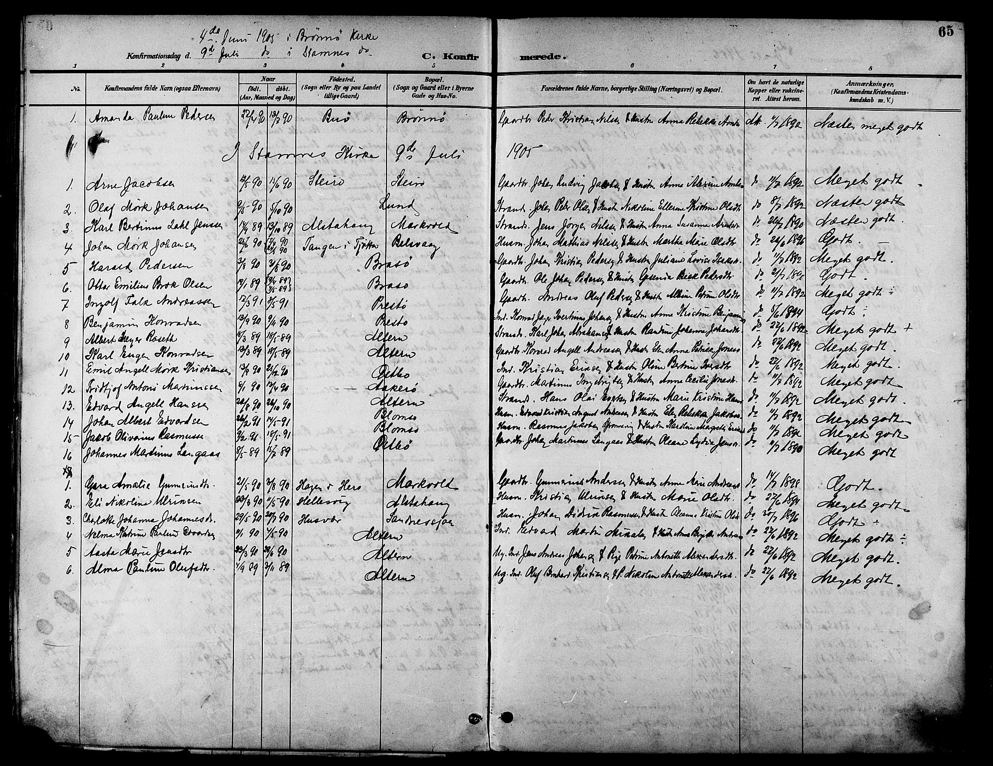 Ministerialprotokoller, klokkerbøker og fødselsregistre - Nordland, SAT/A-1459/830/L0463: Parish register (copy) no. 830C05, 1895-1906, p. 65