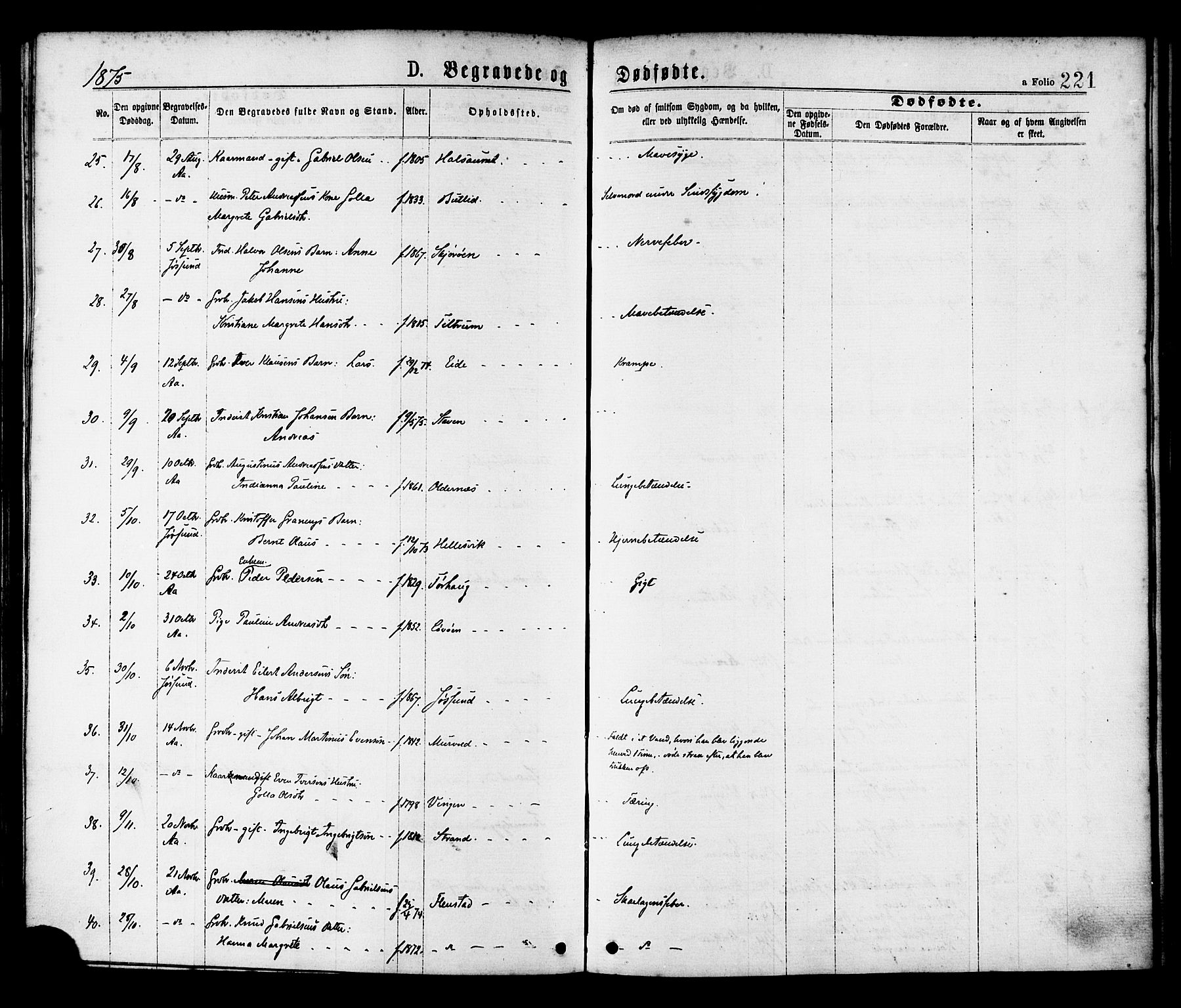 Ministerialprotokoller, klokkerbøker og fødselsregistre - Sør-Trøndelag, SAT/A-1456/655/L0679: Parish register (official) no. 655A08, 1873-1879, p. 221