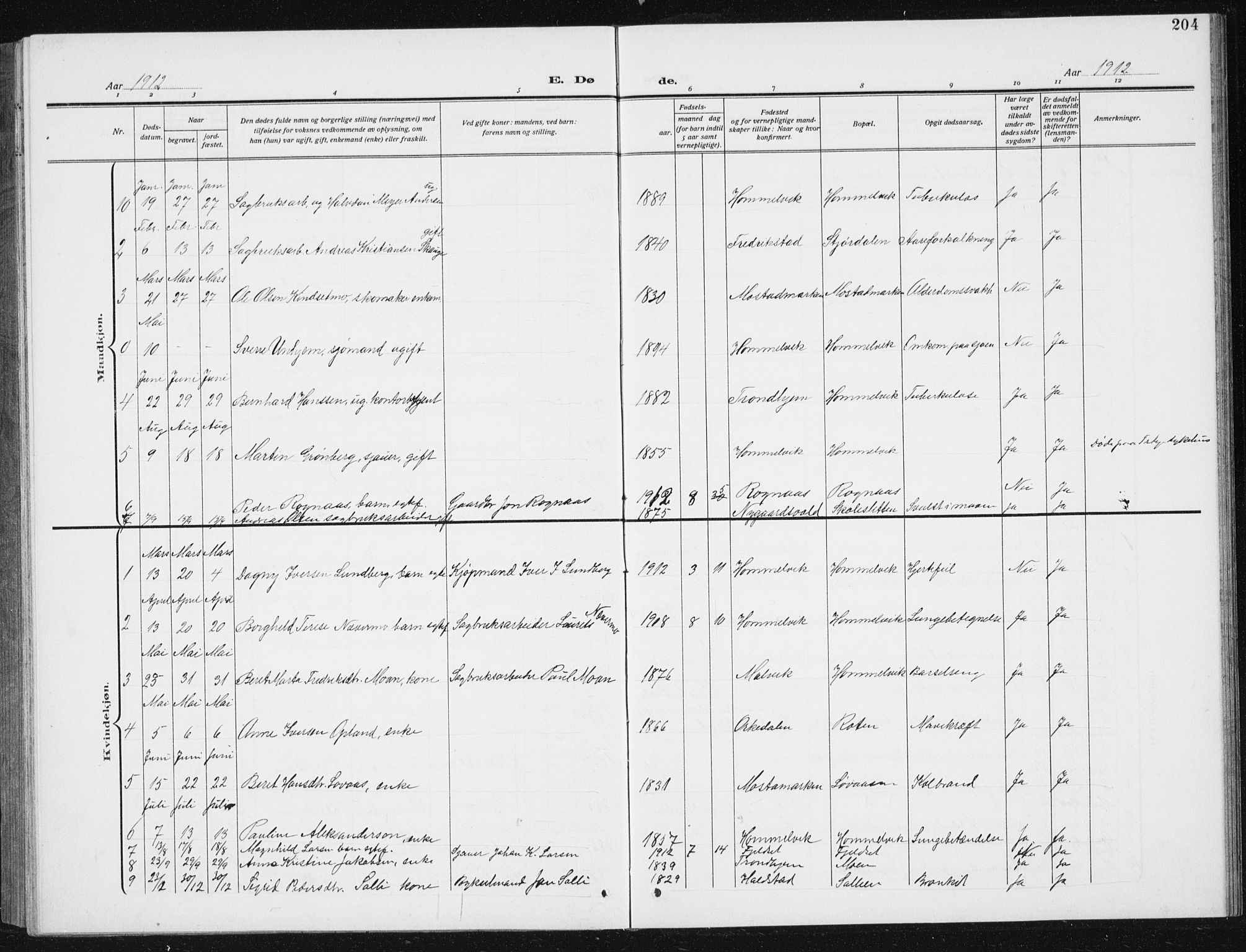 Ministerialprotokoller, klokkerbøker og fødselsregistre - Sør-Trøndelag, SAT/A-1456/617/L0431: Parish register (copy) no. 617C02, 1910-1936, p. 204
