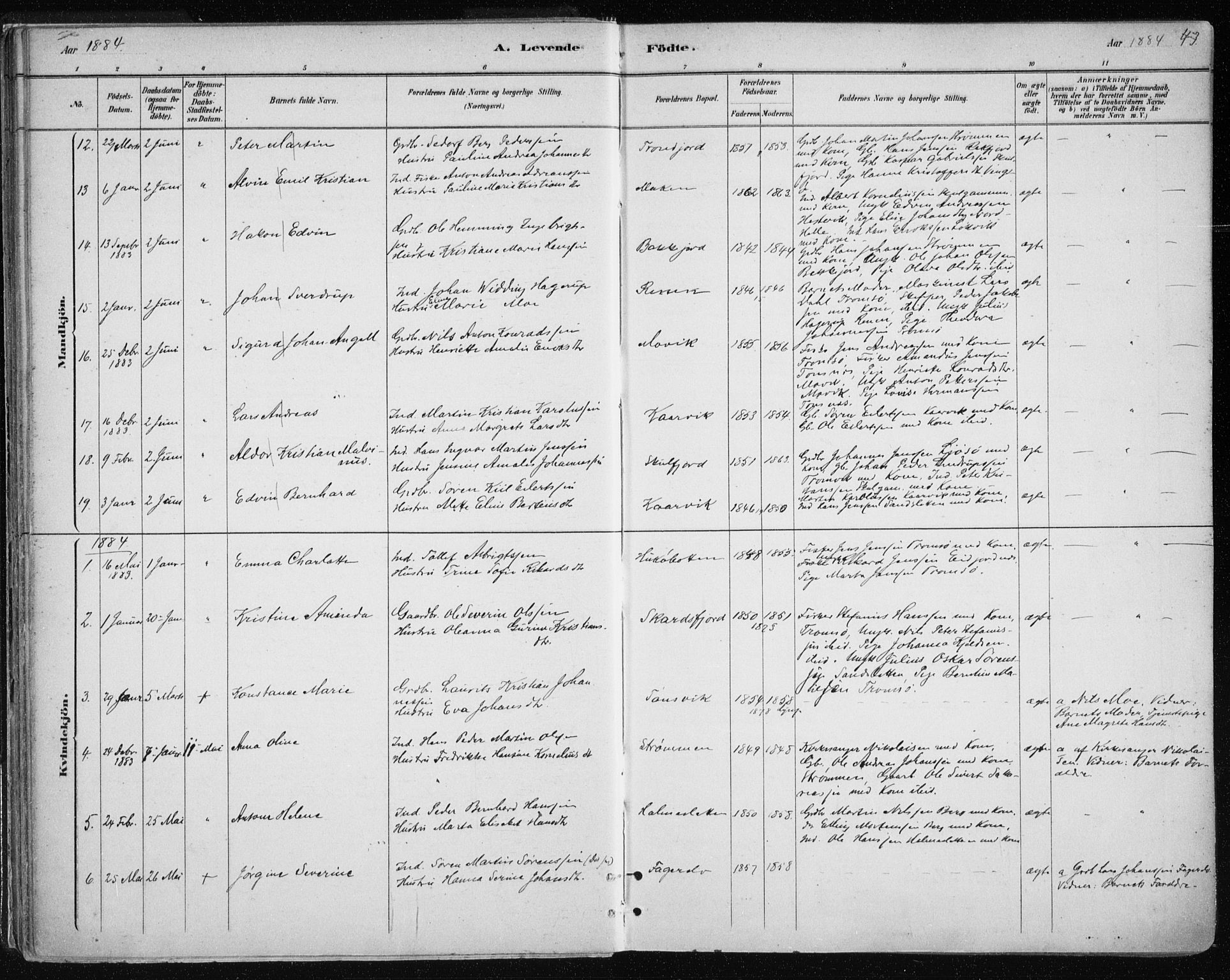 Tromsøysund sokneprestkontor, AV/SATØ-S-1304/G/Ga/L0004kirke: Parish register (official) no. 4, 1880-1888, p. 43