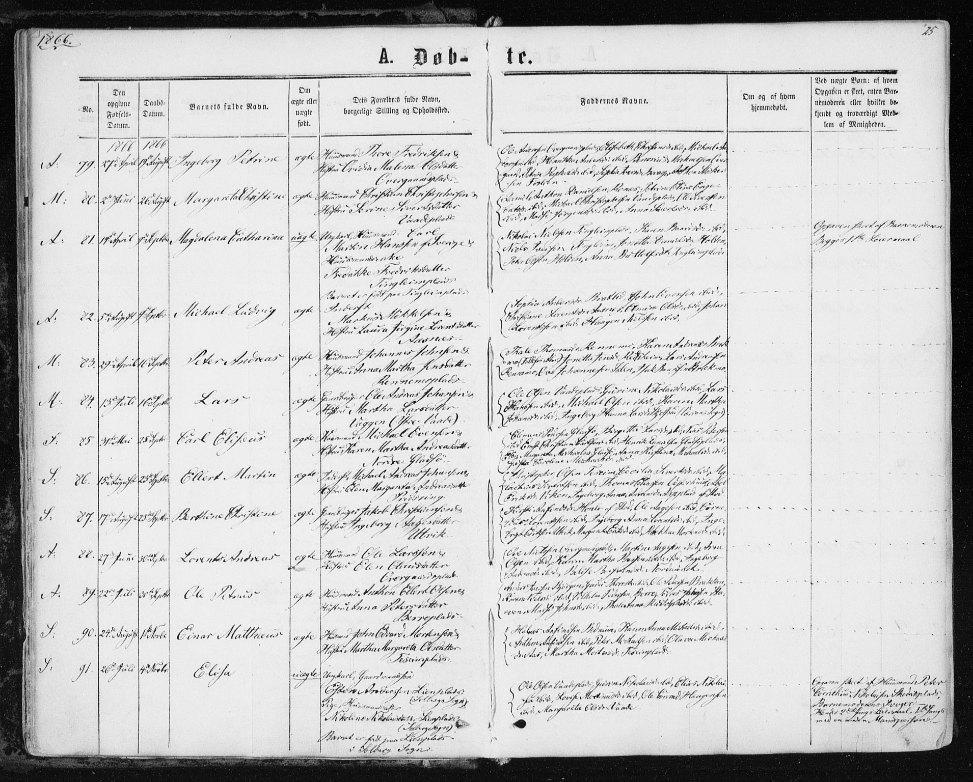 Ministerialprotokoller, klokkerbøker og fødselsregistre - Nord-Trøndelag, AV/SAT-A-1458/741/L0394: Parish register (official) no. 741A08, 1864-1877, p. 25