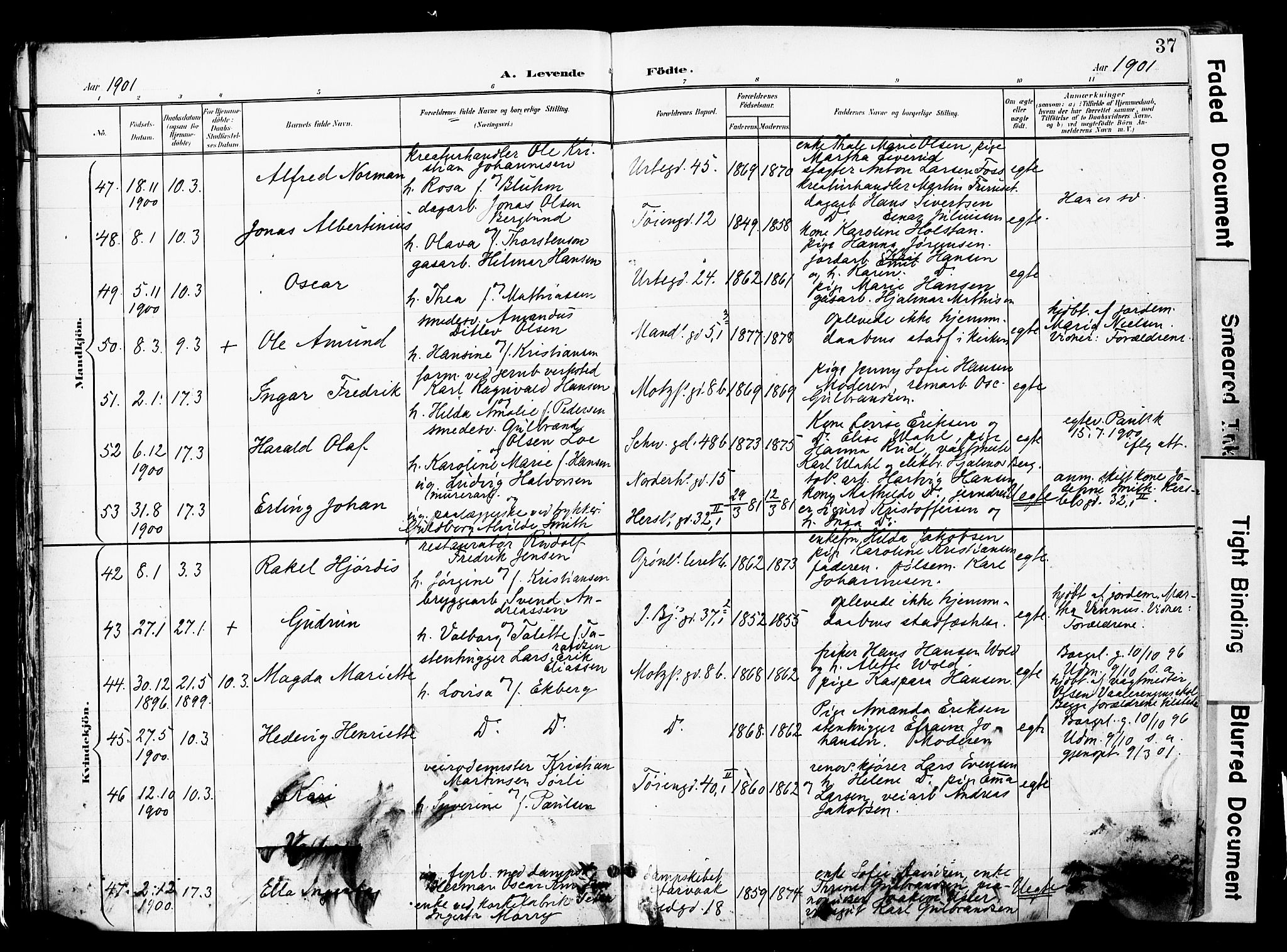 Grønland prestekontor Kirkebøker, AV/SAO-A-10848/F/Fa/L0014: Parish register (official) no. 14, 1900-1911, p. 37