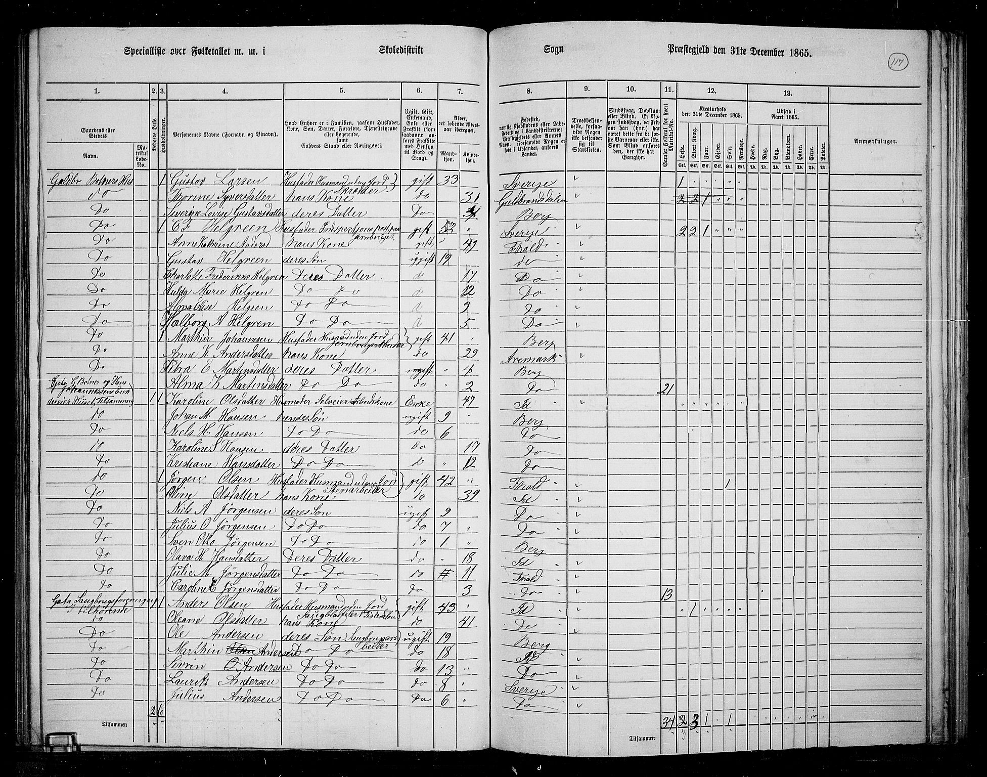 RA, 1865 census for Berg, 1865, p. 106