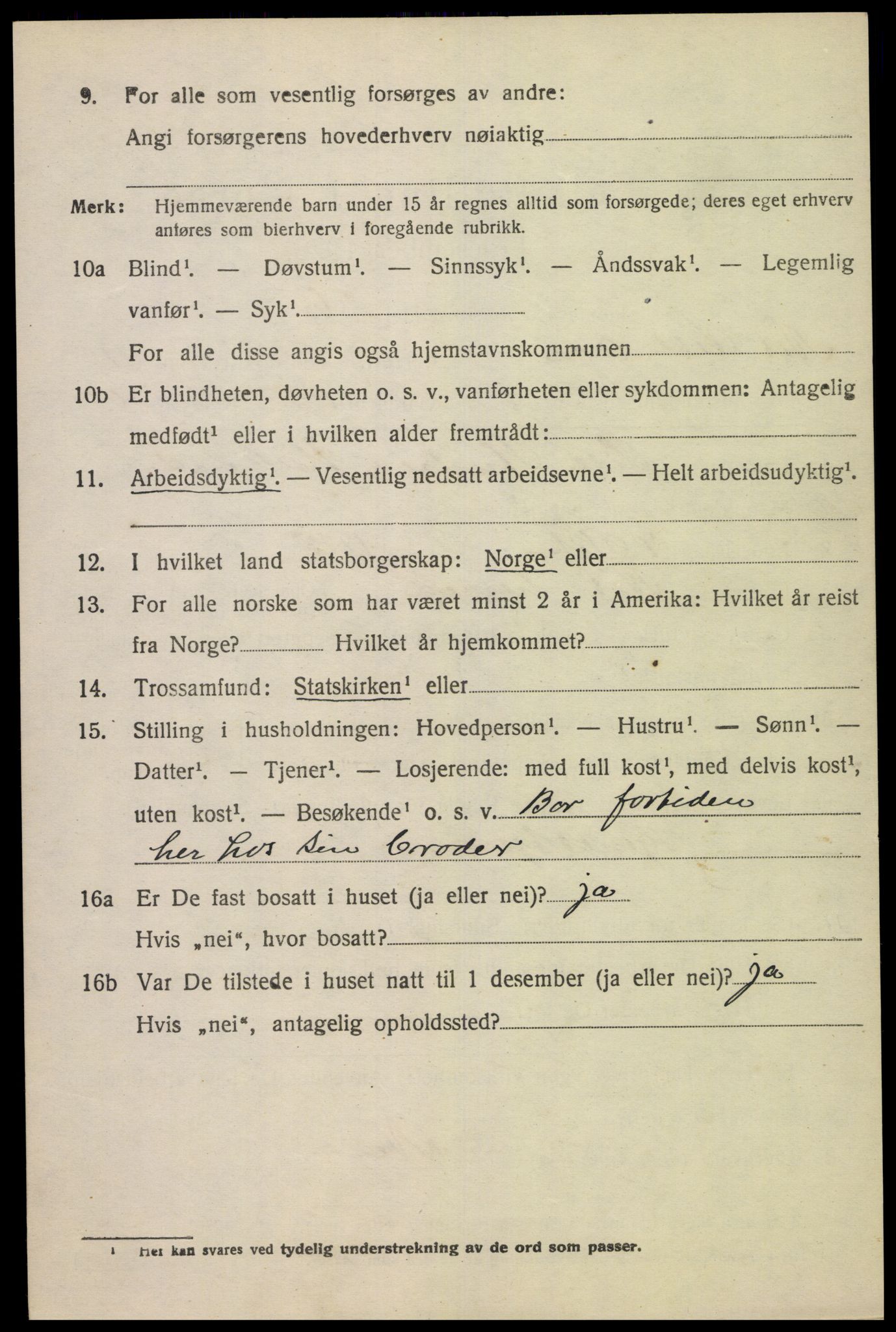 SAK, 1920 census for Nes (V-A), 1920, p. 3969