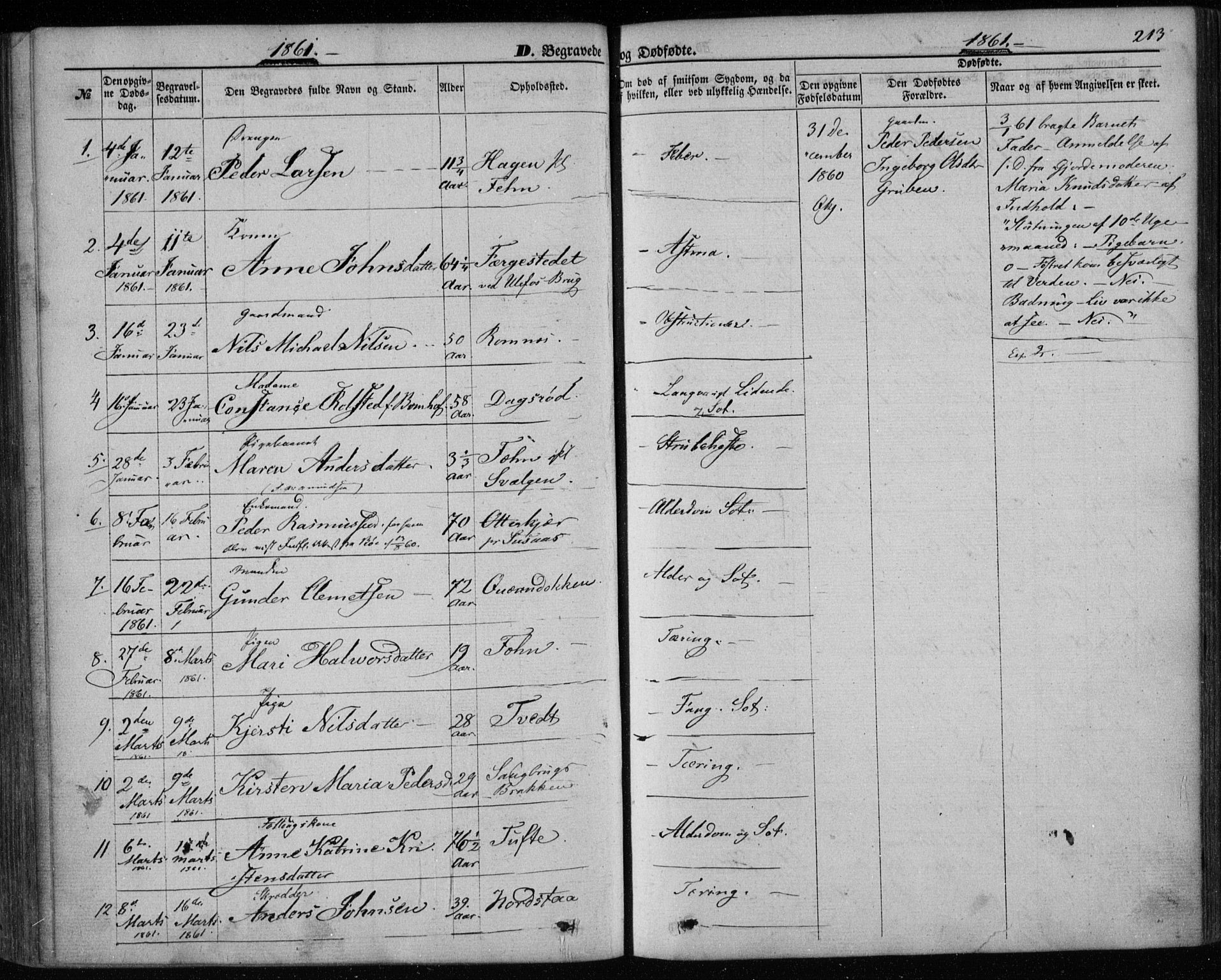 Holla kirkebøker, SAKO/A-272/F/Fa/L0006: Parish register (official) no. 6, 1861-1869, p. 213
