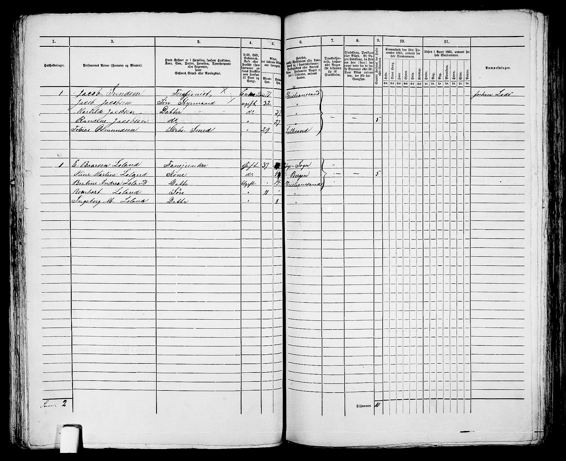 RA, 1865 census for Kristiansand, 1865, p. 738