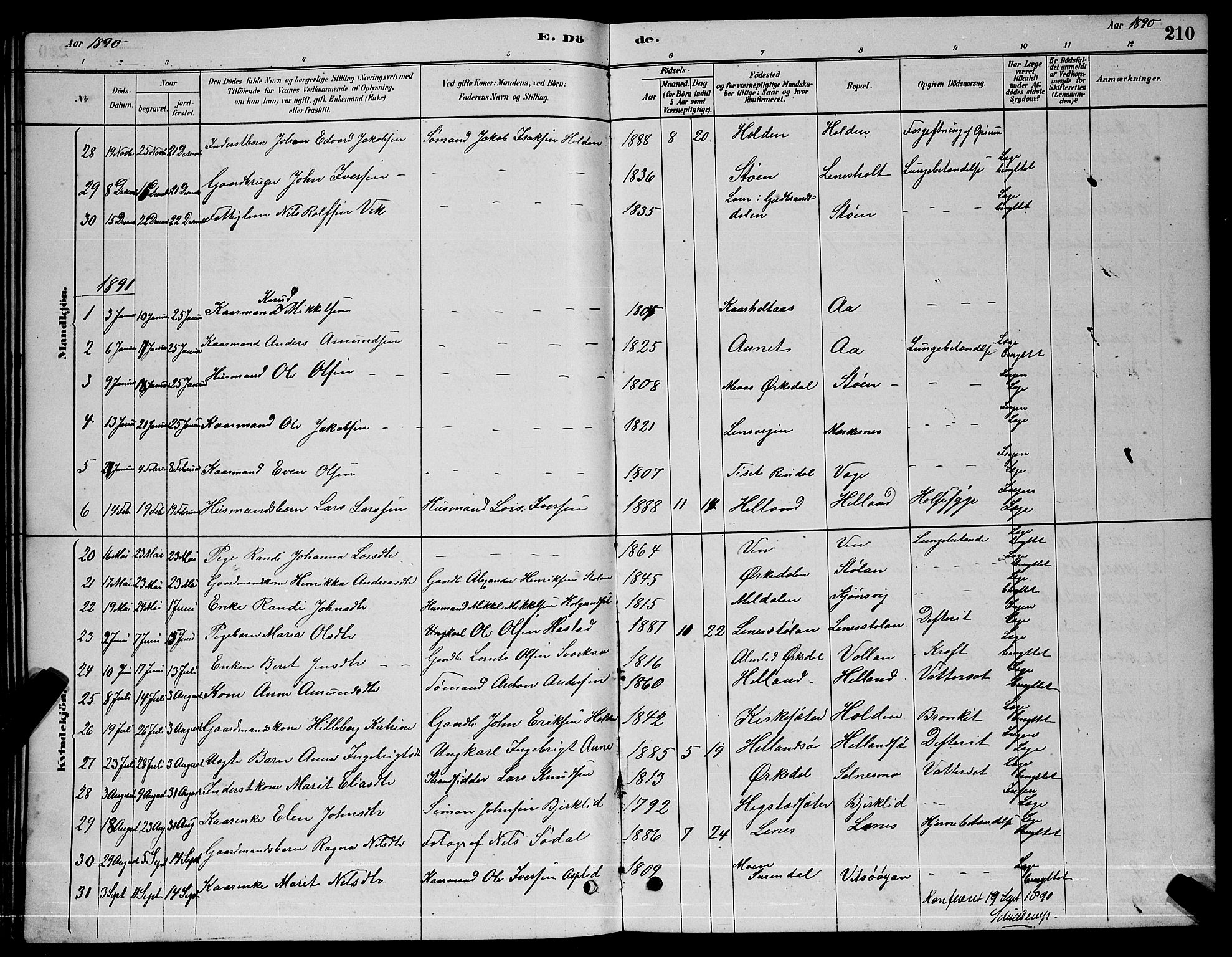 Ministerialprotokoller, klokkerbøker og fødselsregistre - Sør-Trøndelag, SAT/A-1456/630/L0504: Parish register (copy) no. 630C02, 1879-1898, p. 210