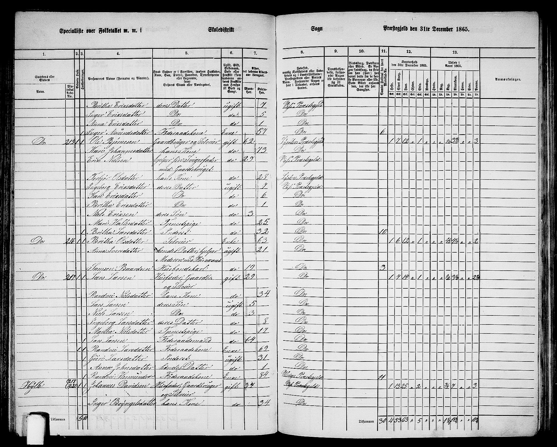 RA, 1865 census for Voss, 1865, p. 113