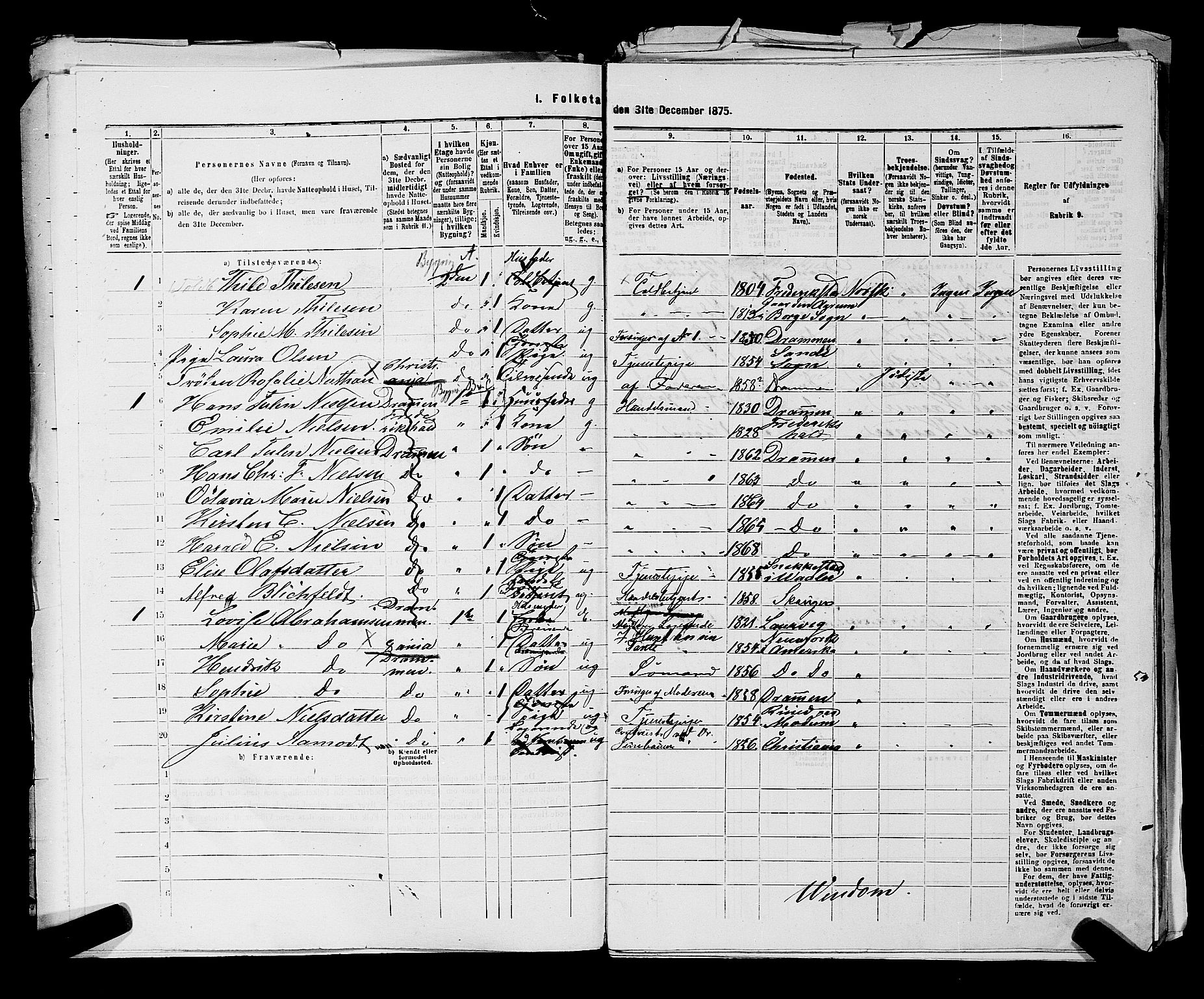 SAKO, 1875 census for 0602 Drammen, 1875, p. 2733