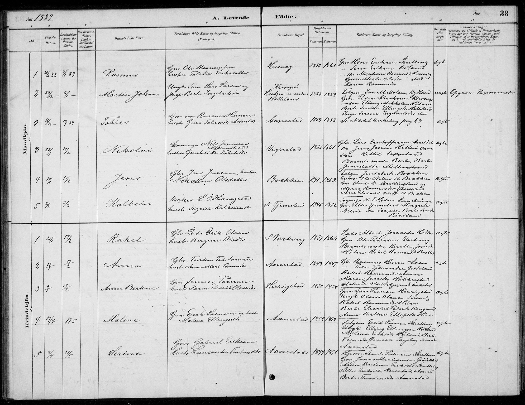 Hå sokneprestkontor, AV/SAST-A-101801/001/30BB/L0004: Parish register (copy) no. B 4, 1883-1899, p. 33