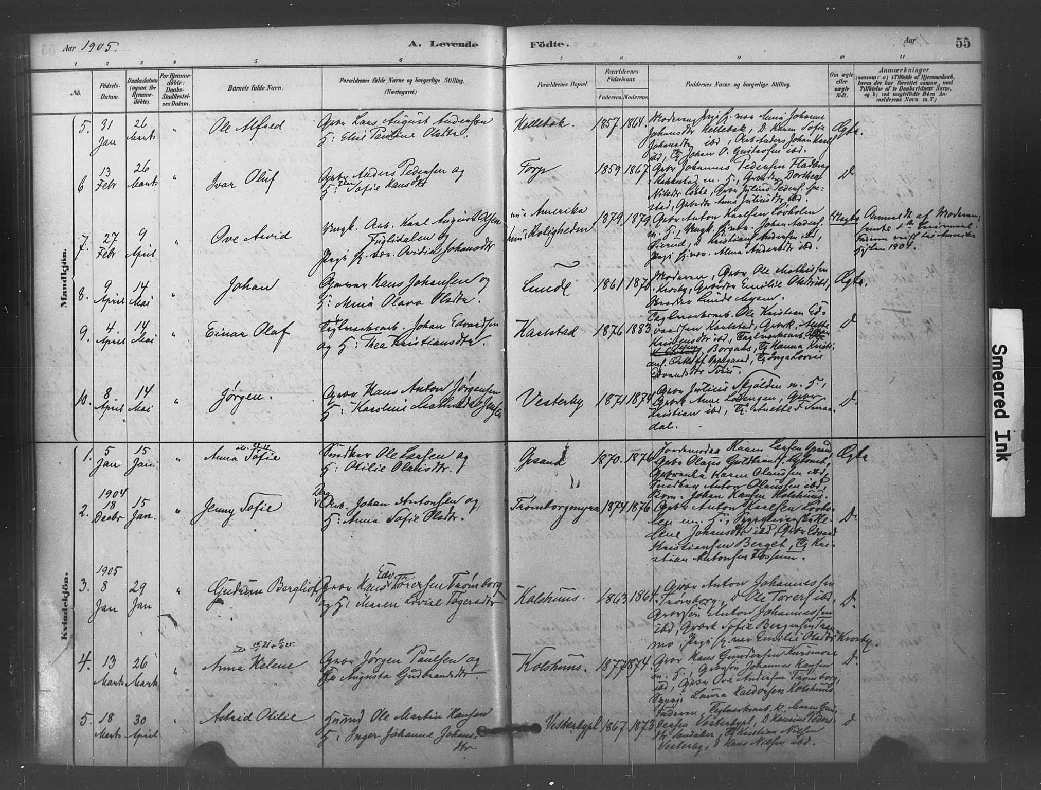 Eidsberg prestekontor Kirkebøker, AV/SAO-A-10905/F/Fc/L0001: Parish register (official) no. III 1, 1879-1905, p. 55