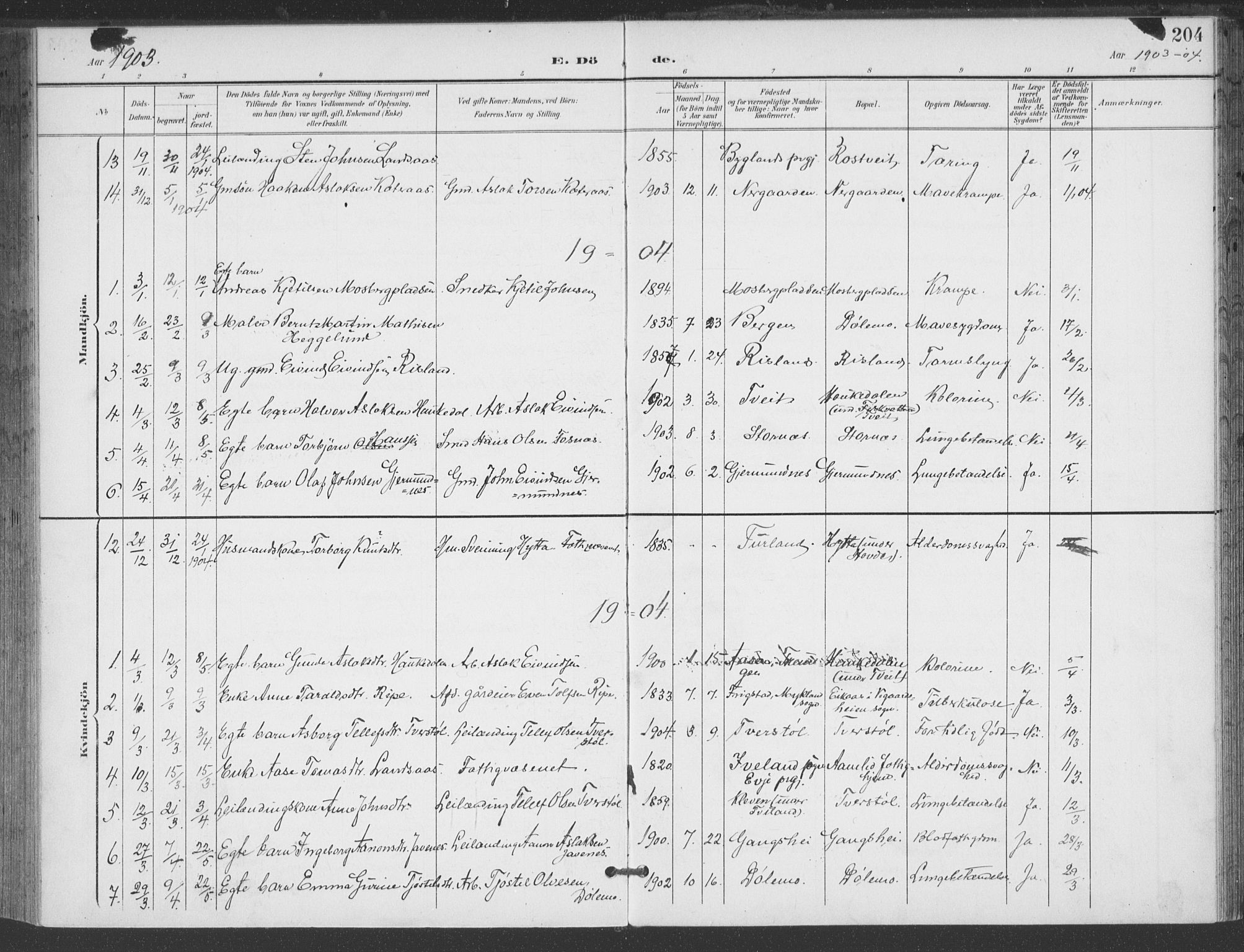 Åmli sokneprestkontor, AV/SAK-1111-0050/F/Fa/Fac/L0012: Parish register (official) no. A 12, 1900-1914, p. 204