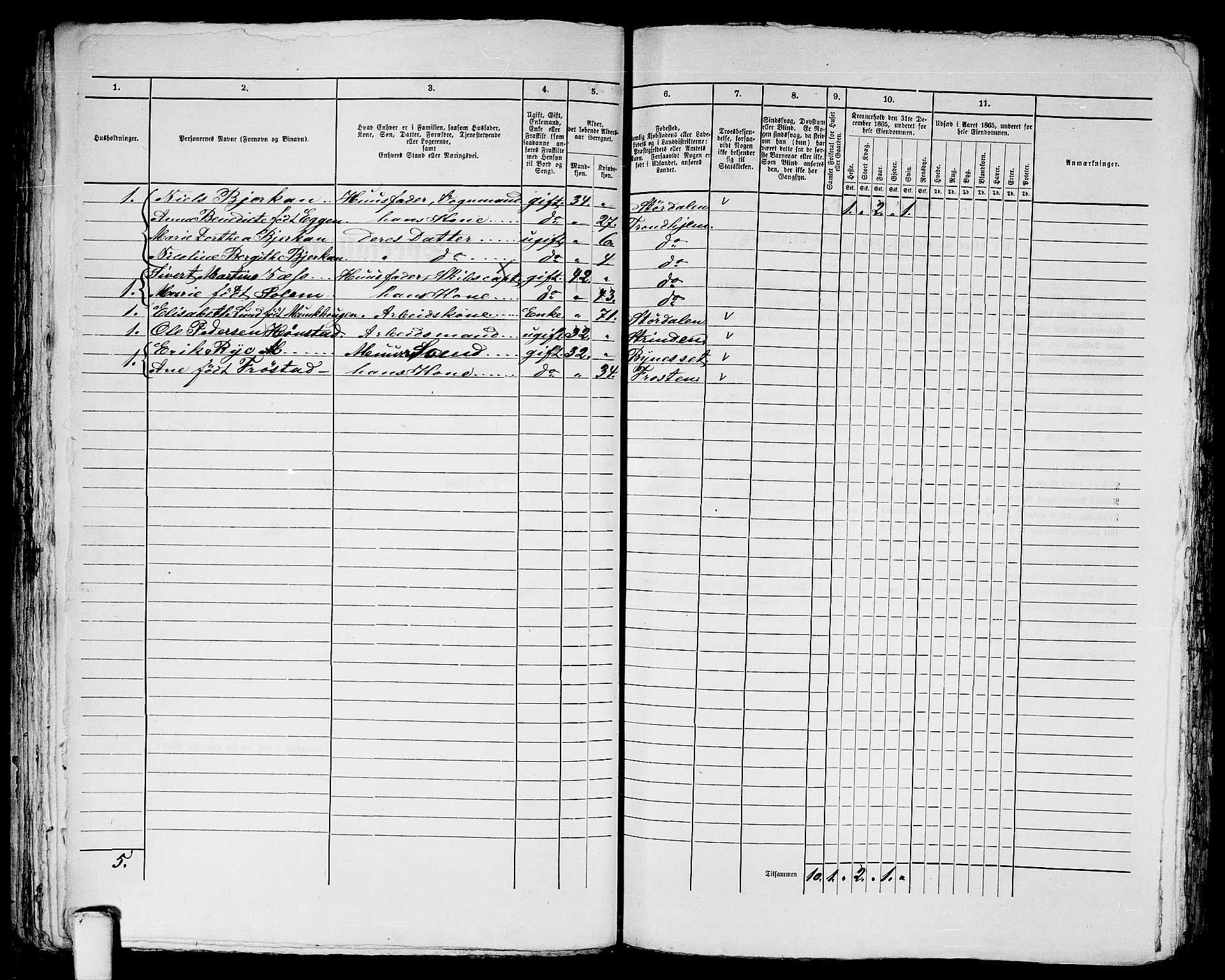 RA, 1865 census for Trondheim, 1865, p. 1213