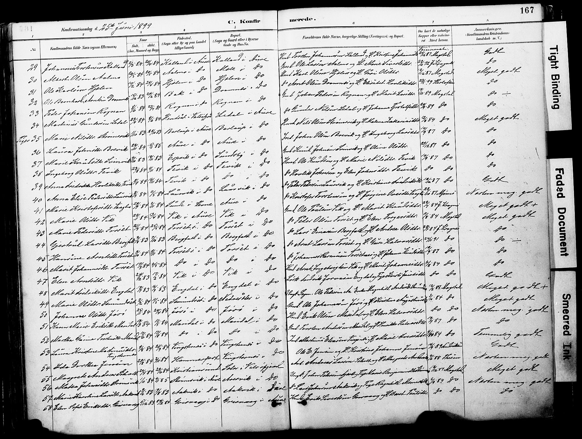 Ministerialprotokoller, klokkerbøker og fødselsregistre - Møre og Romsdal, AV/SAT-A-1454/578/L0907: Parish register (official) no. 578A06, 1887-1904, p. 167