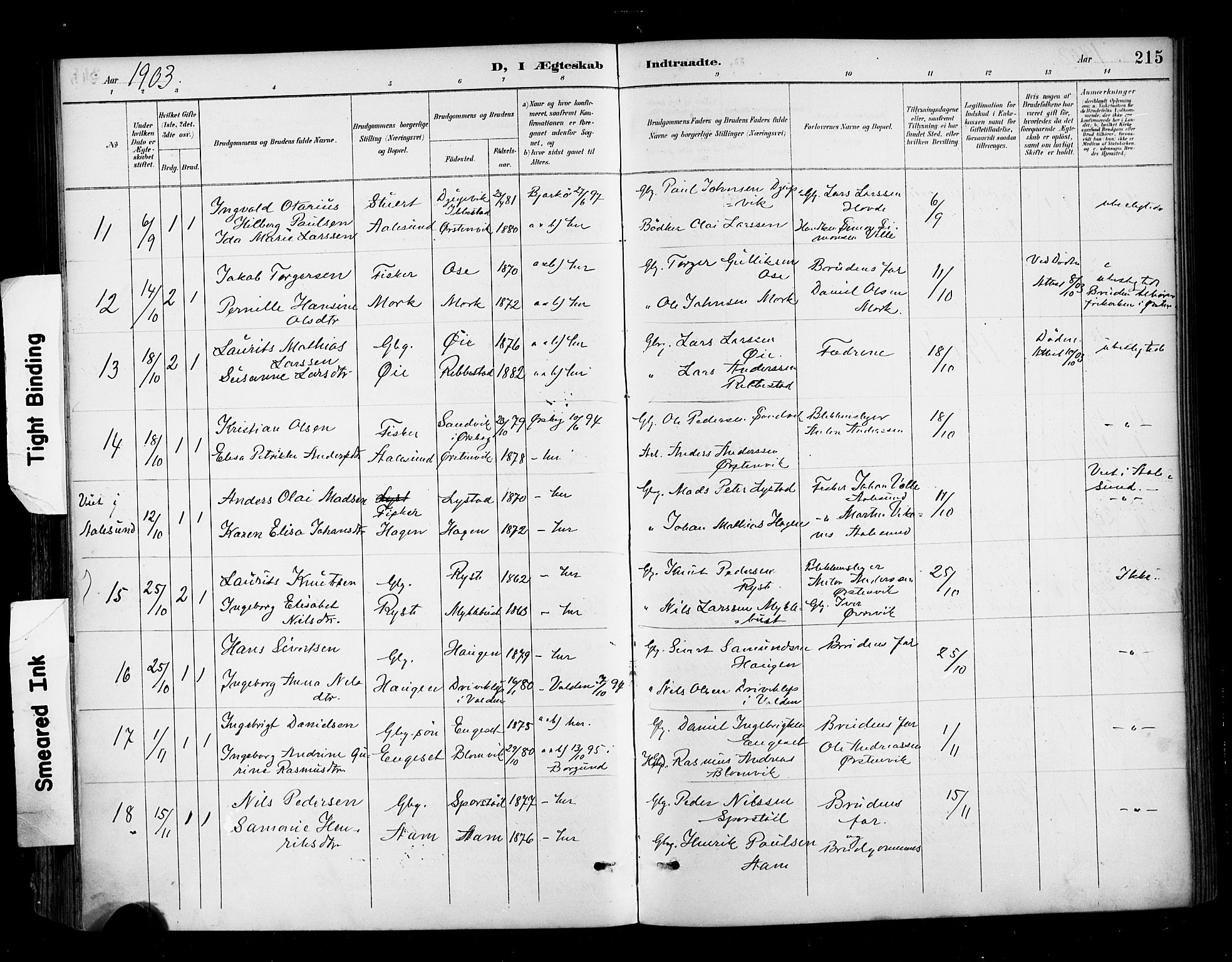 Ministerialprotokoller, klokkerbøker og fødselsregistre - Møre og Romsdal, AV/SAT-A-1454/513/L0177: Parish register (official) no. 513A04, 1890-1906, p. 215