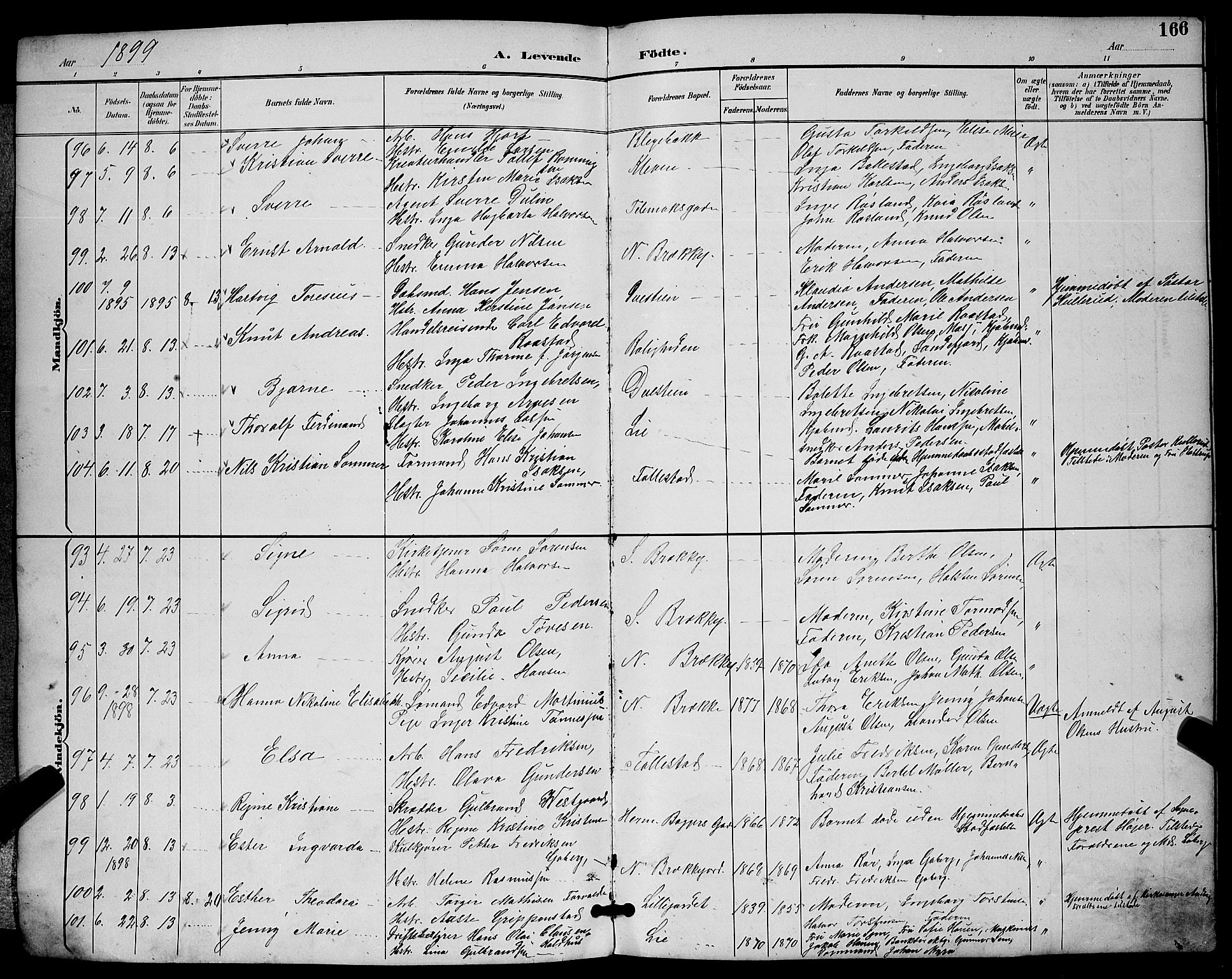 Skien kirkebøker, SAKO/A-302/G/Ga/L0007: Parish register (copy) no. 7, 1891-1900, p. 166