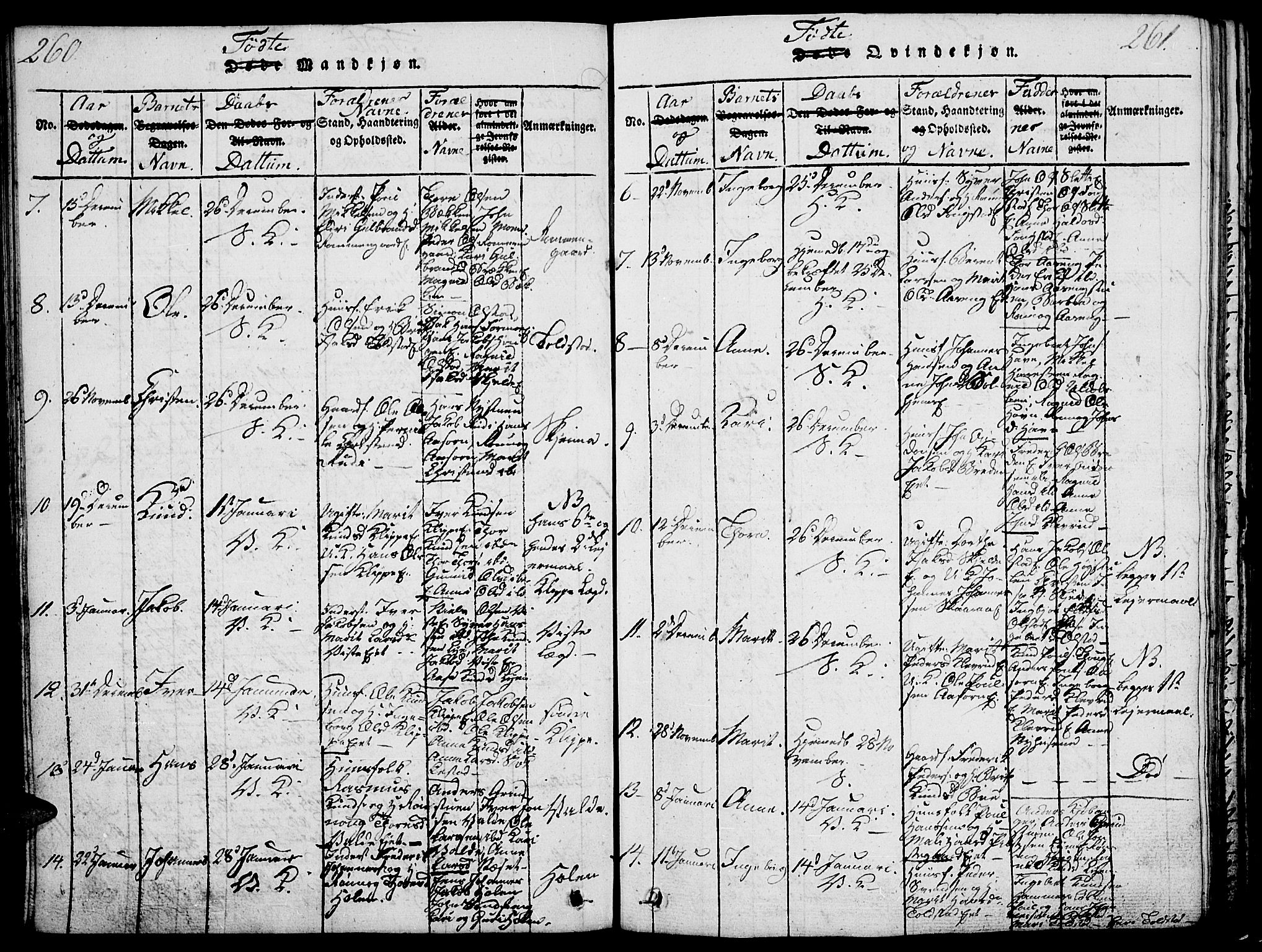 Vågå prestekontor, SAH/PREST-076/H/Ha/Haa/L0003: Parish register (official) no. 3, 1815-1827, p. 260-261