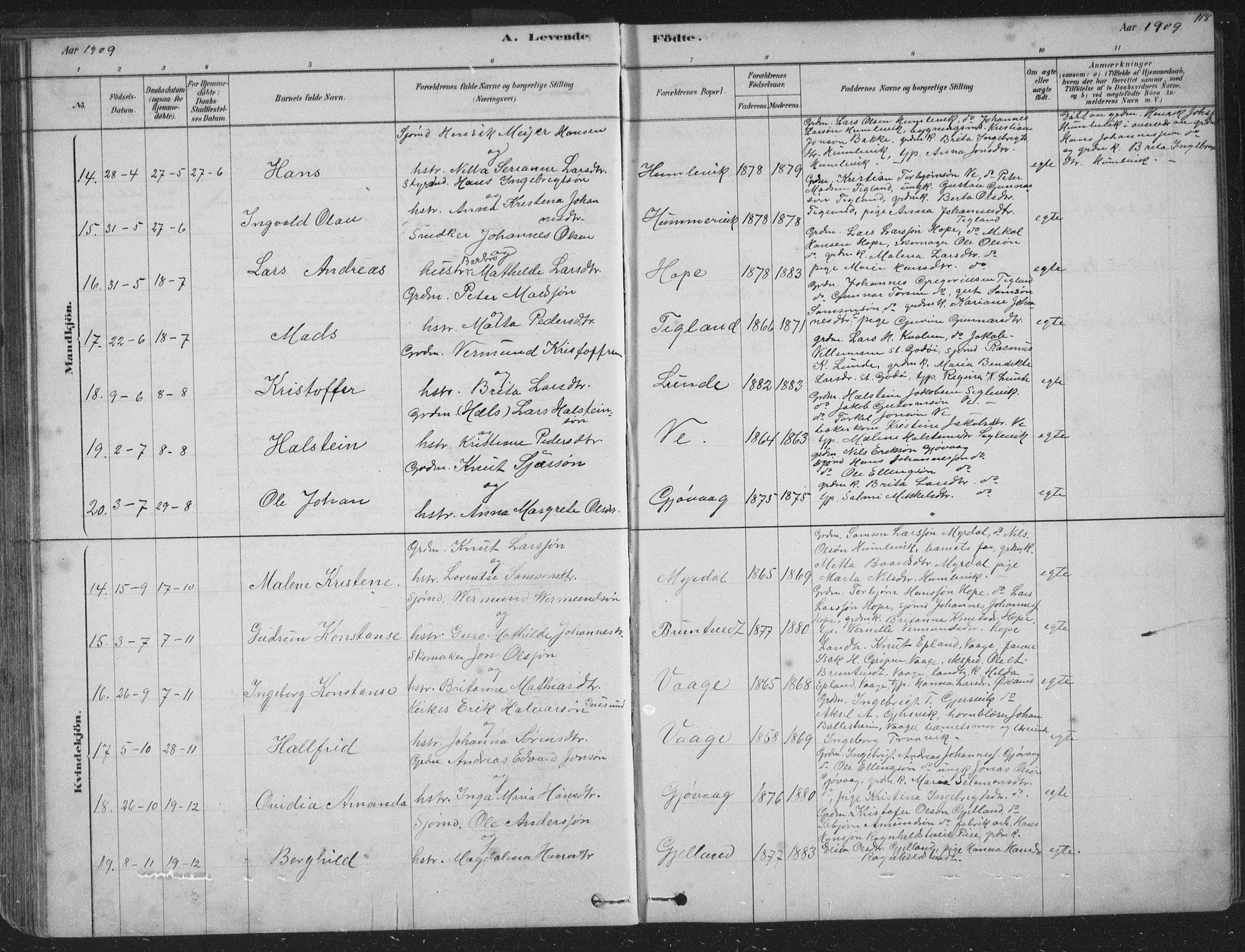 Tysnes sokneprestembete, SAB/A-78601/H/Hab: Parish register (copy) no. B 2, 1878-1918, p. 118