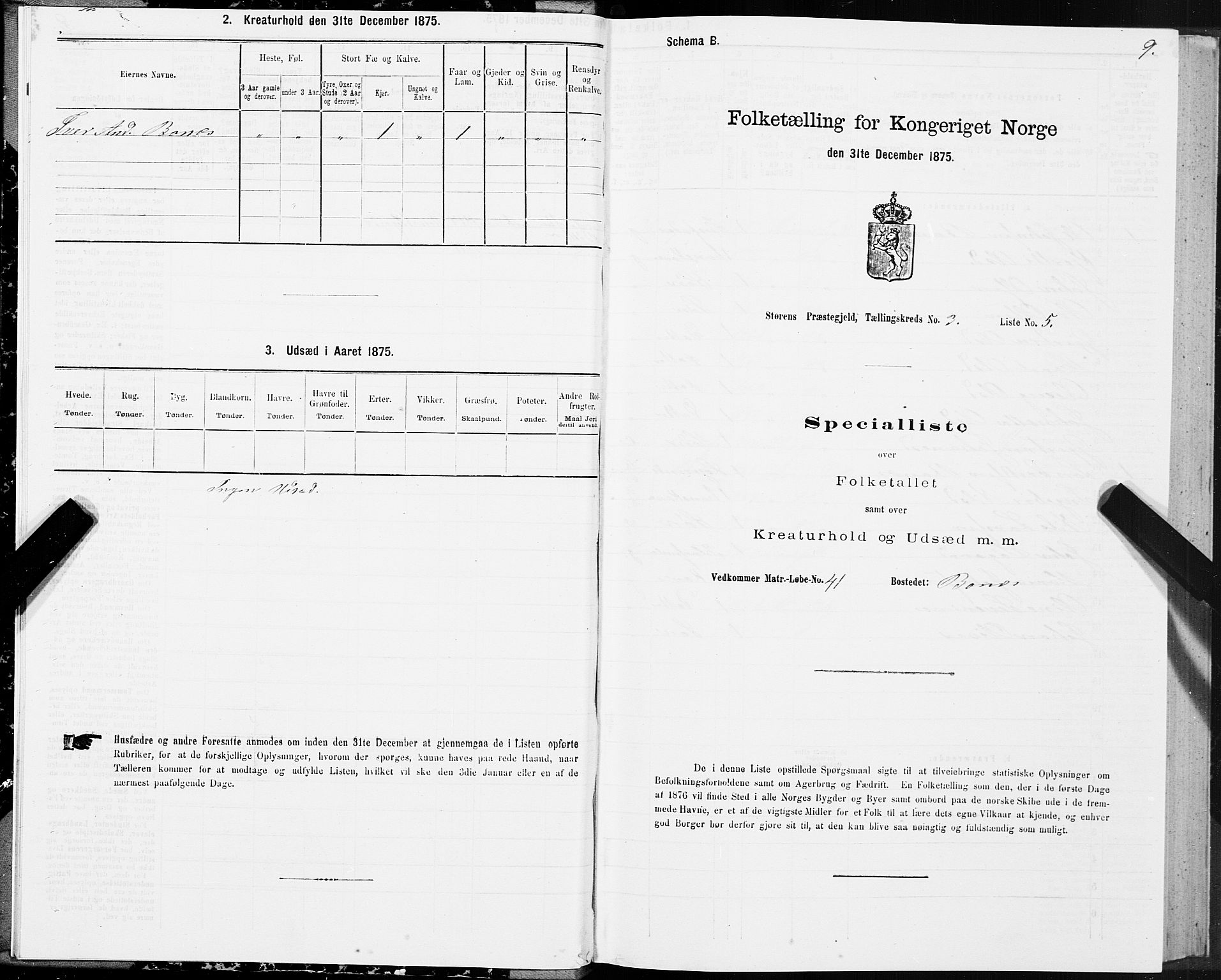 SAT, 1875 census for 1648P Støren, 1875, p. 2009