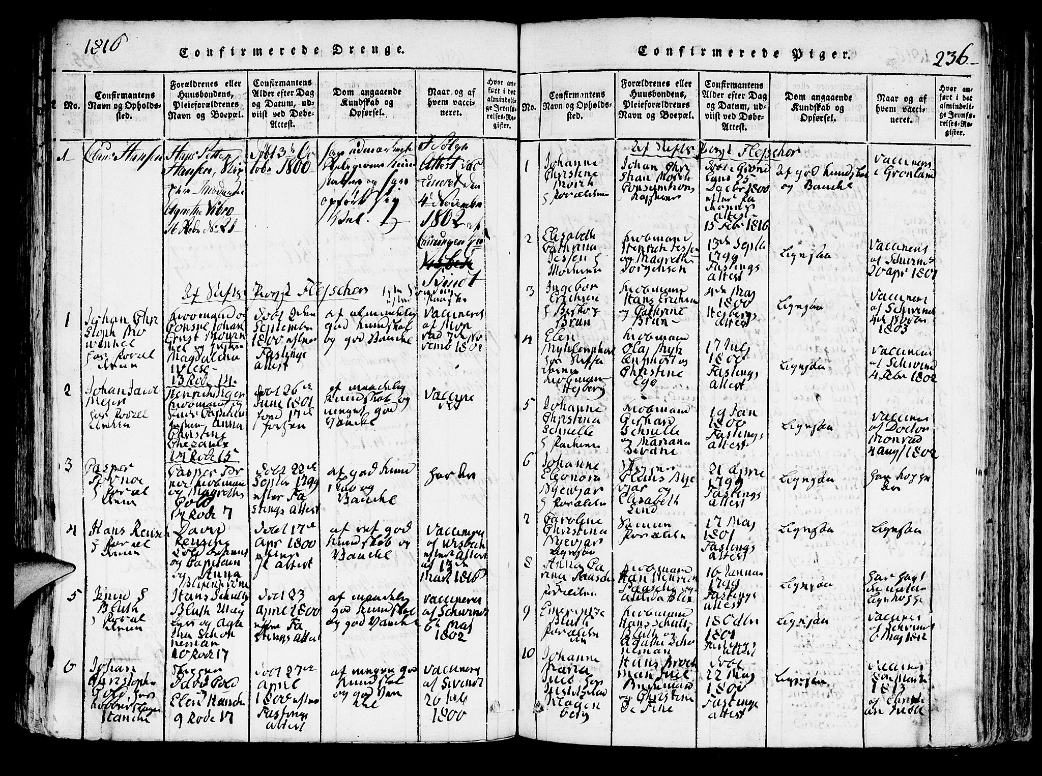 Domkirken sokneprestembete, SAB/A-74801/H/Hab/L0001: Parish register (copy) no. A 1, 1816-1821, p. 236