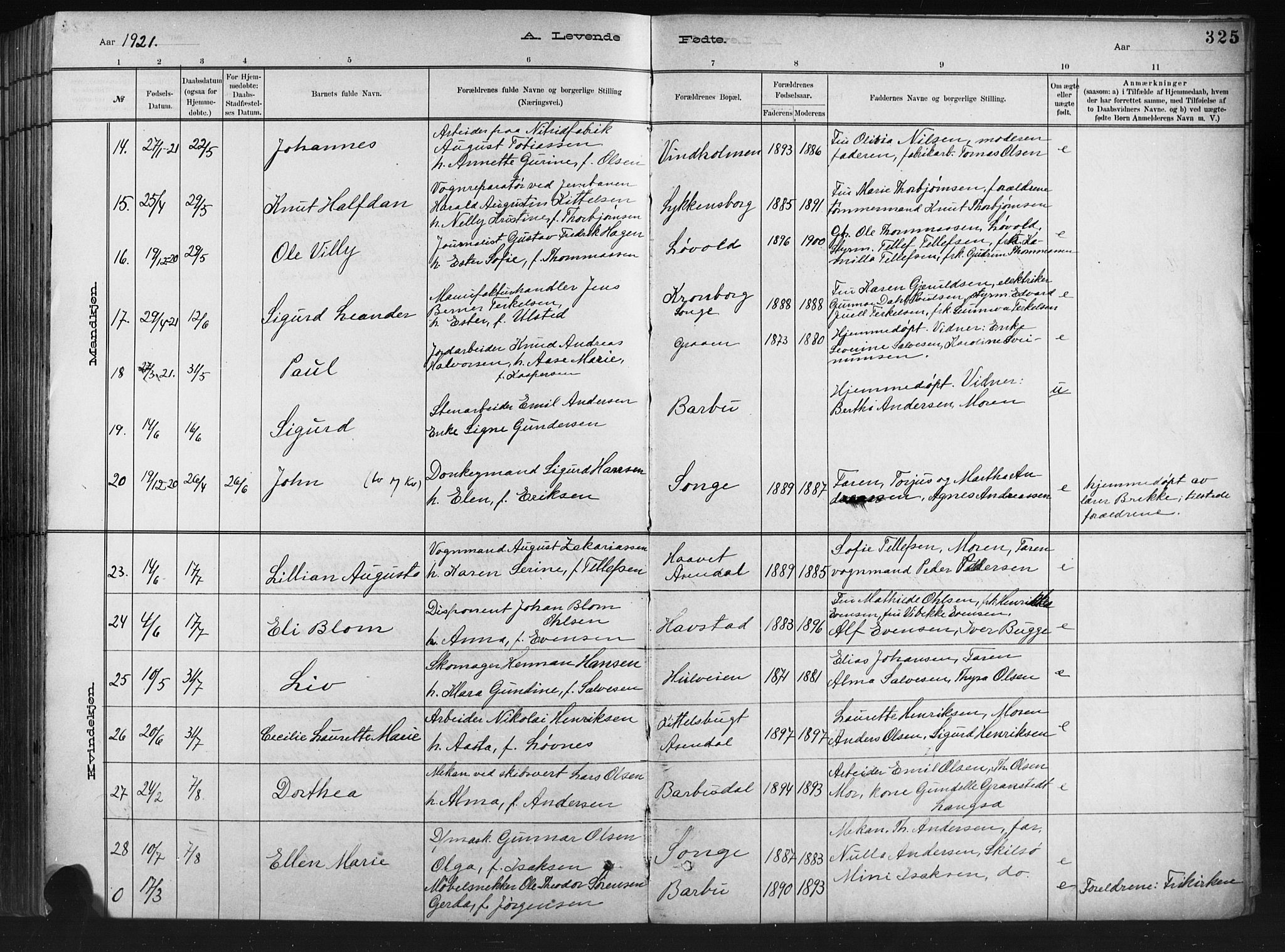 Barbu sokneprestkontor, AV/SAK-1111-0003/F/Fb/L0002: Parish register (copy) no. B 2, 1890-1922, p. 325