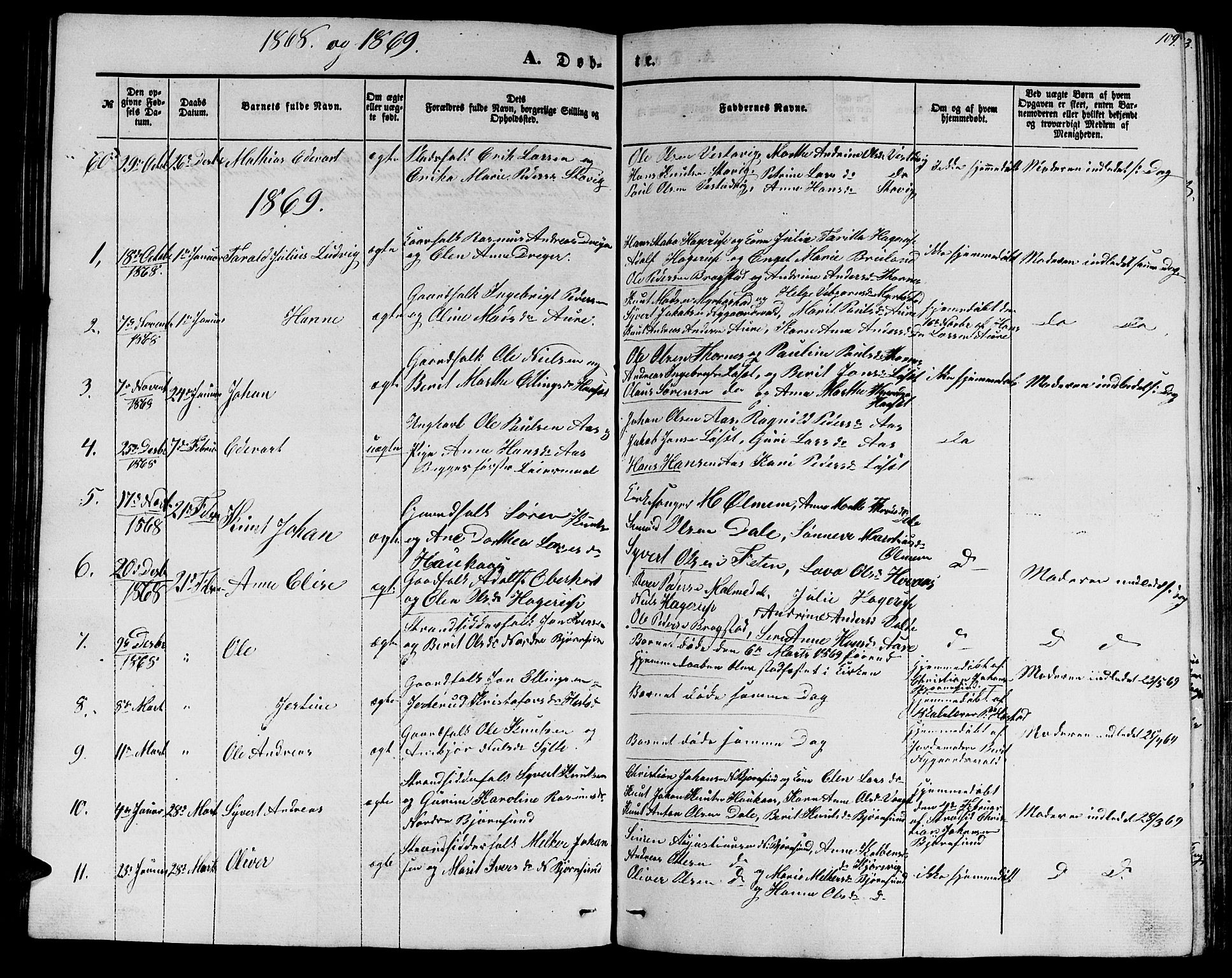 Ministerialprotokoller, klokkerbøker og fødselsregistre - Møre og Romsdal, SAT/A-1454/565/L0753: Parish register (copy) no. 565C02, 1845-1870, p. 109